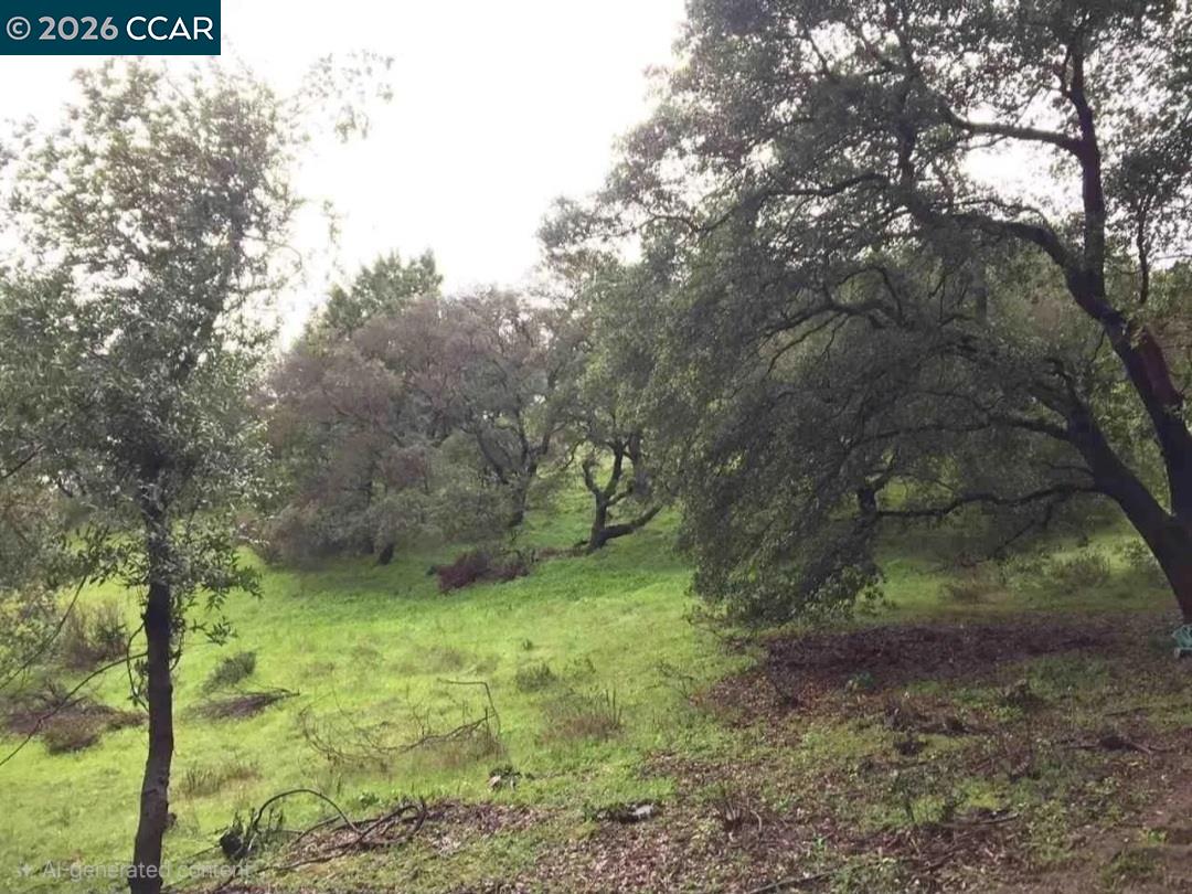 Detail Gallery Image 2 of 7 For 16 Brandywine Way, Martinez,  CA 94553 - – Beds | – Baths