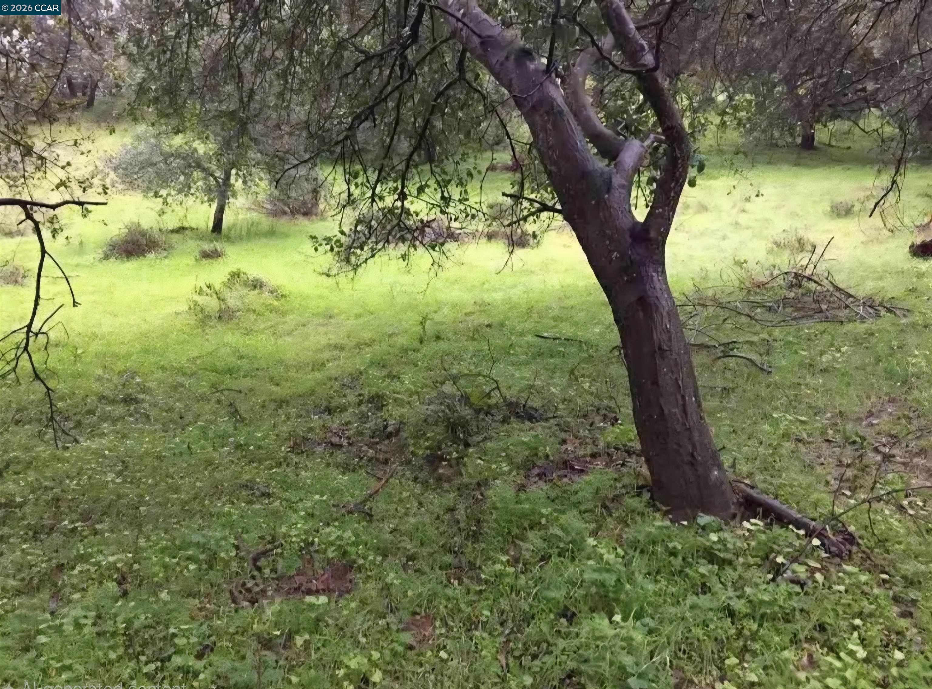 Detail Gallery Image 3 of 7 For 16 Brandywine Way, Martinez,  CA 94553 - – Beds | – Baths