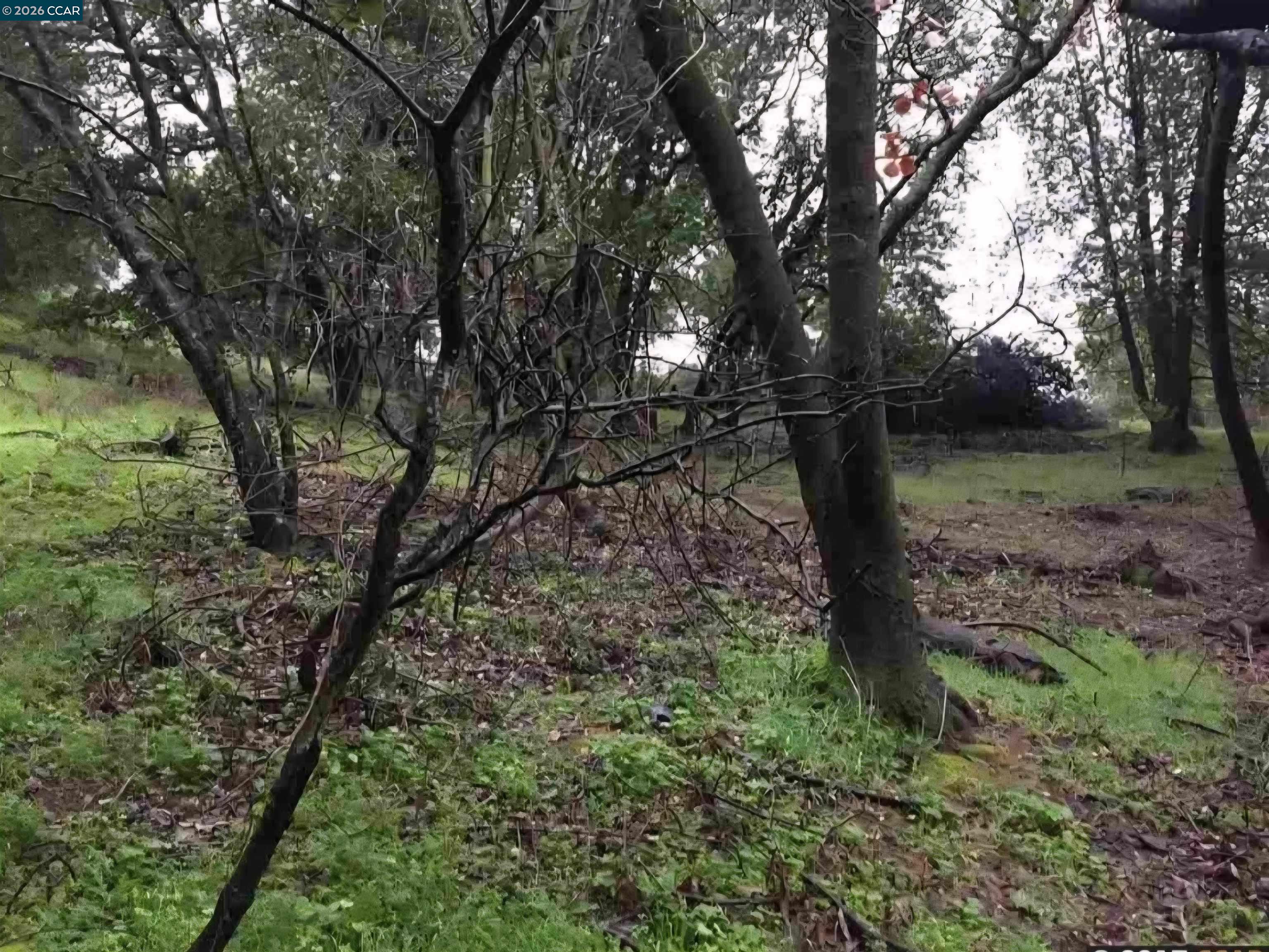 Detail Gallery Image 3 of 4 For 16 Brandywine Way, Martinez,  CA 94553 - – Beds | – Baths