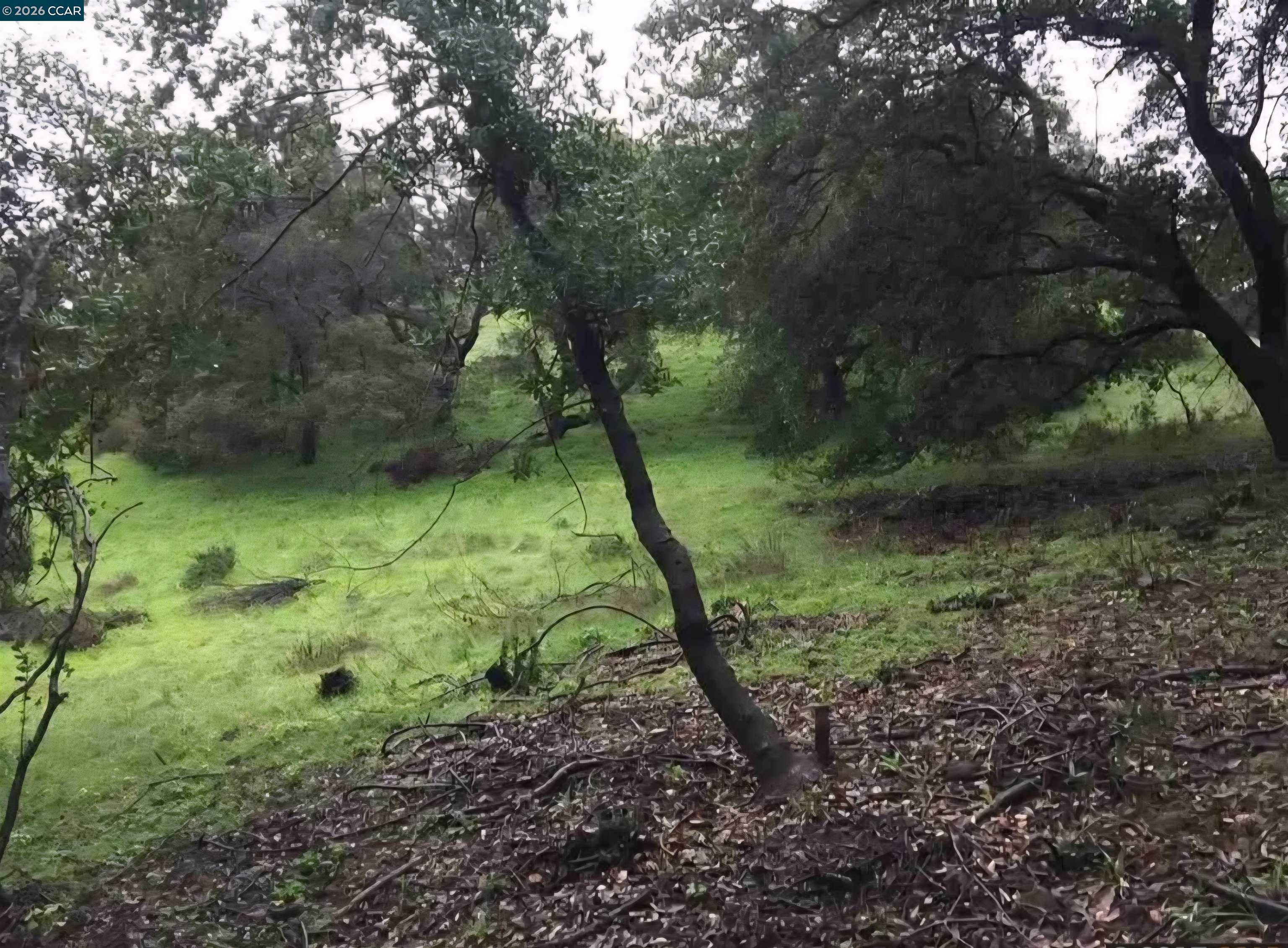 Detail Gallery Image 4 of 4 For 16 Brandywine Way, Martinez,  CA 94553 - – Beds | – Baths