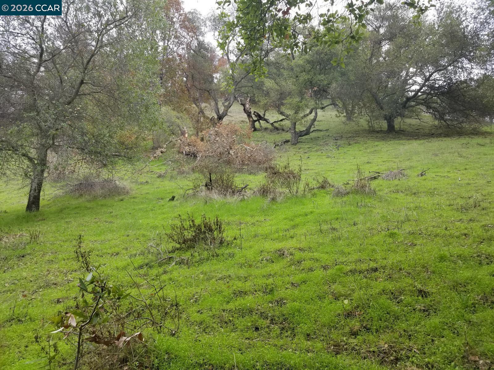 Detail Gallery Image 7 of 7 For 16 Brandywine Way, Martinez,  CA 94553 - – Beds | – Baths