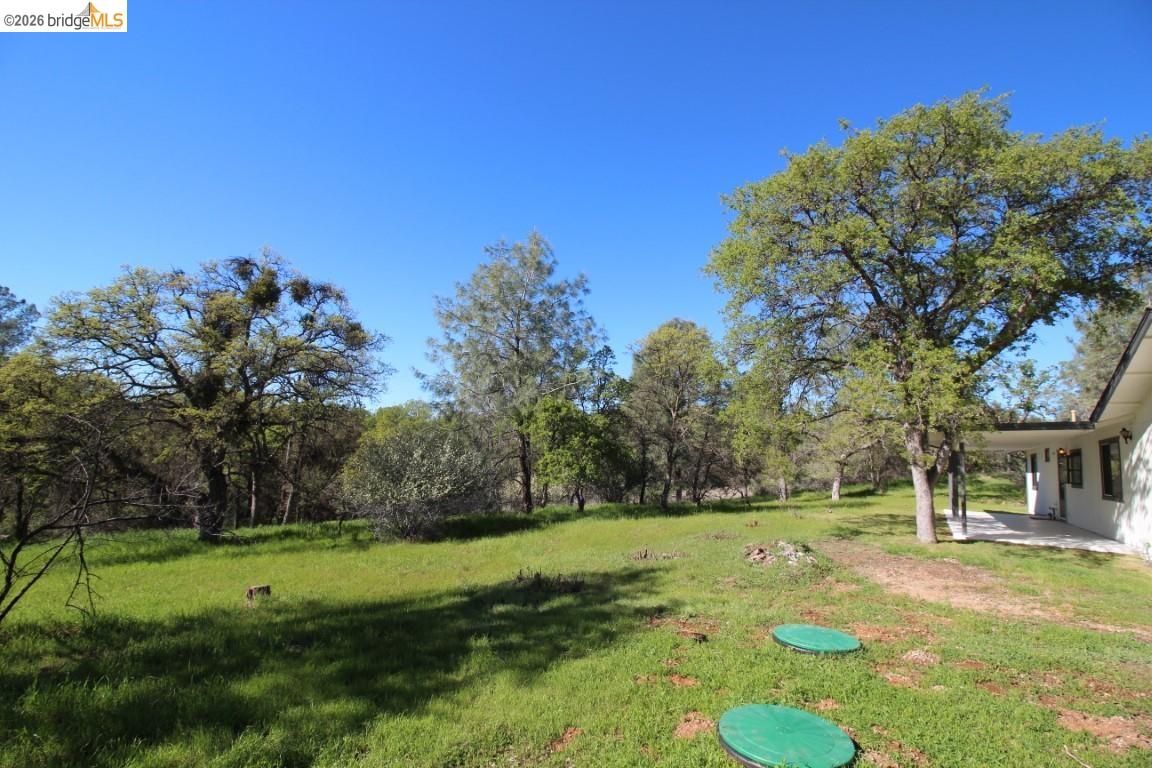 Detail Gallery Image 20 of 20 For 10477 Violetta, Coulterville,  CA 95311 - 2 Beds | 2 Baths