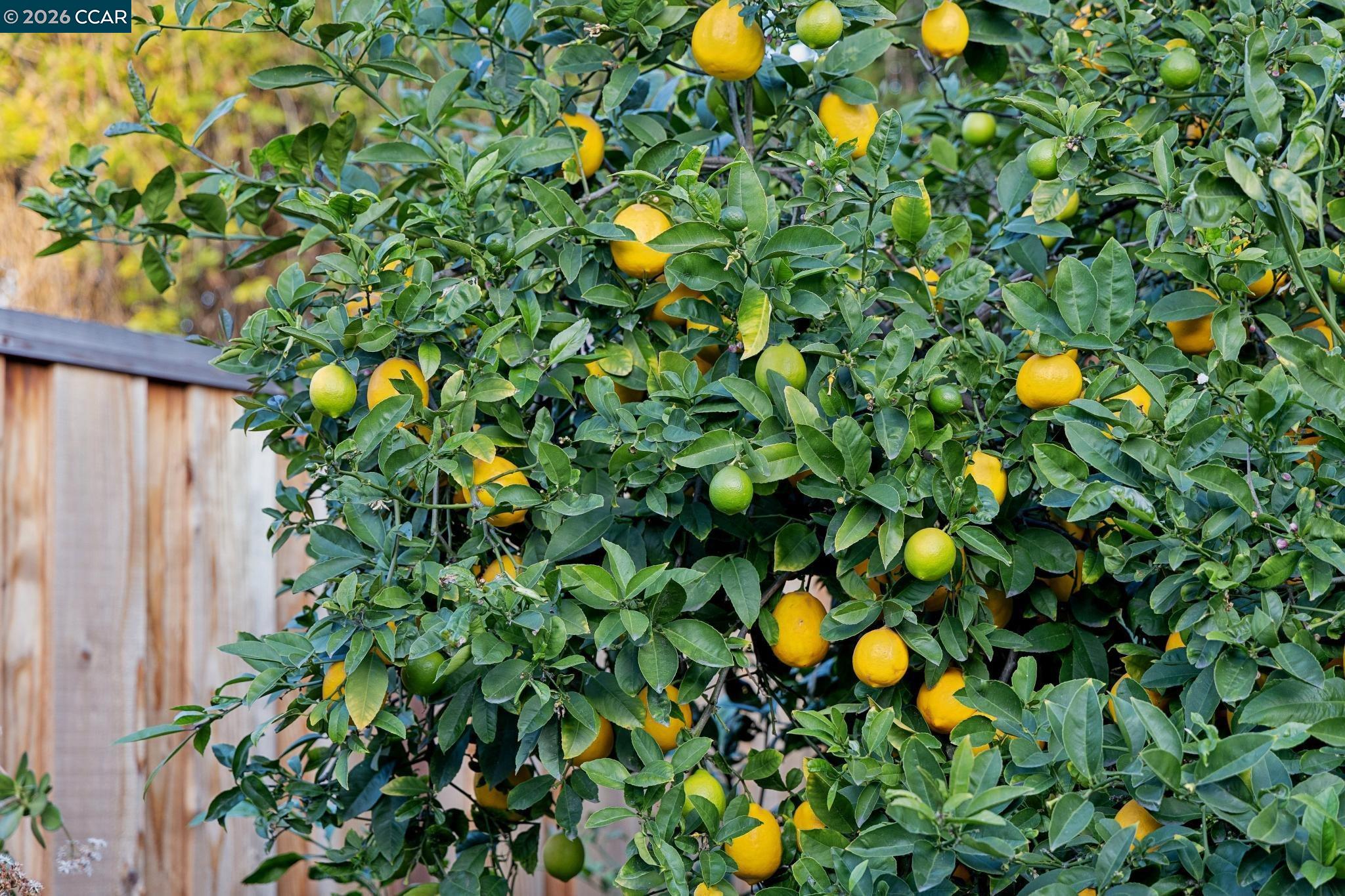 Detail Gallery Image 26 of 29 For 4508 Stevenson Blvd, Fremont,  CA 94538 - 3 Beds | 2/1 Baths