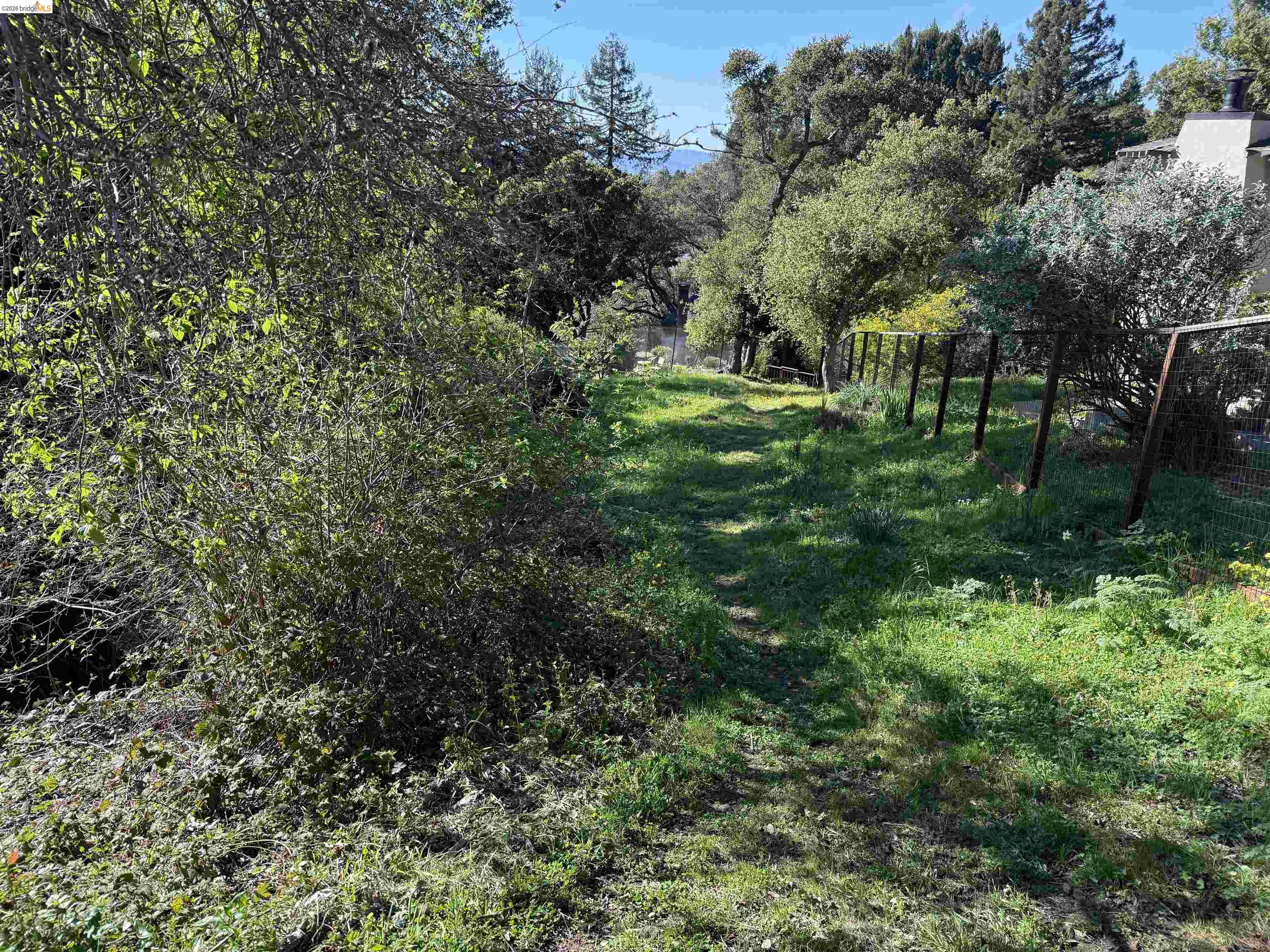 Detail Gallery Image 57 of 58 For 1179 Keith Ave, Berkeley,  CA 94708 - 6 Beds | 3 Baths