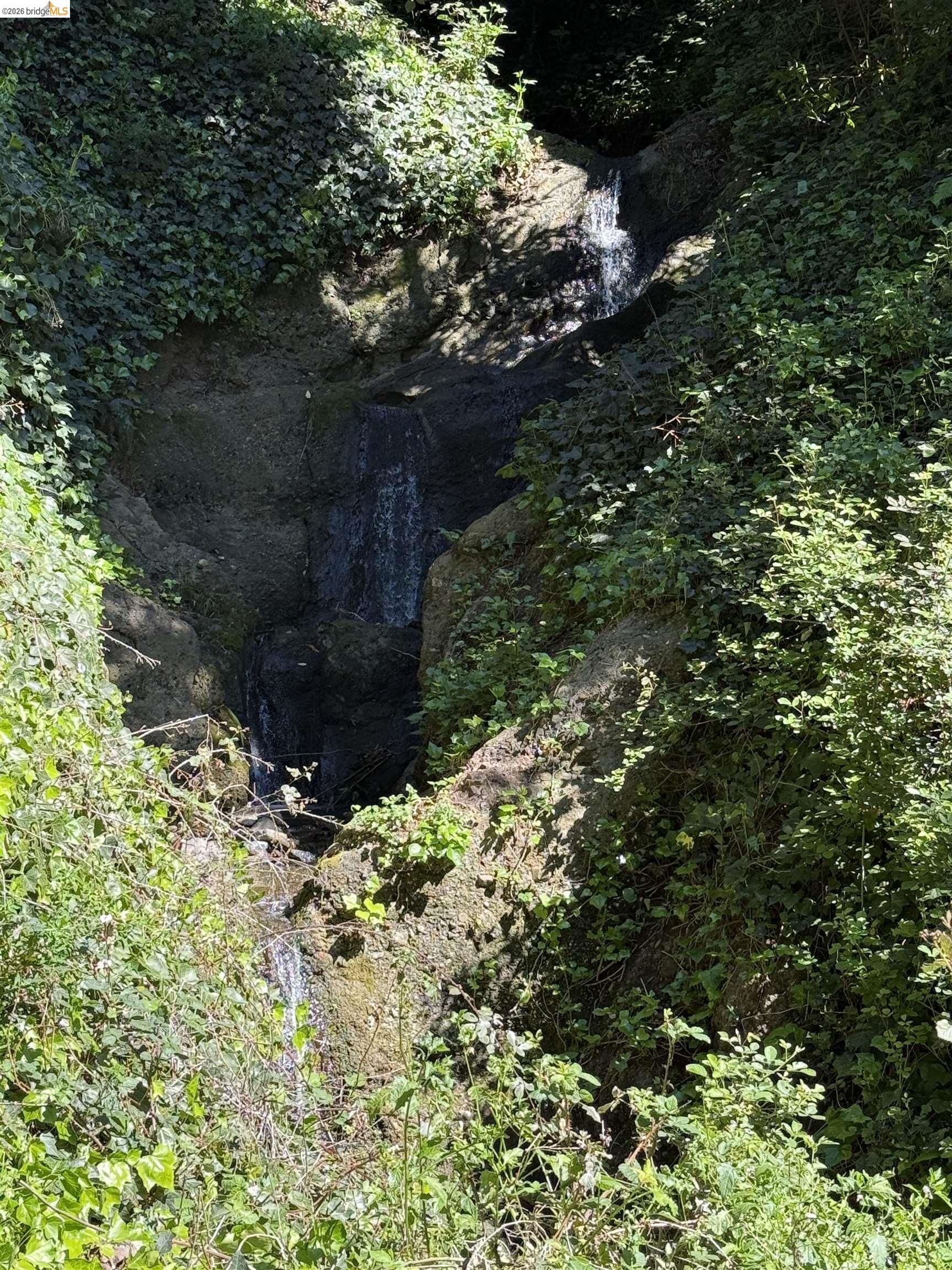 Detail Gallery Image 58 of 58 For 1179 Keith Ave, Berkeley,  CA 94708 - 6 Beds | 3 Baths