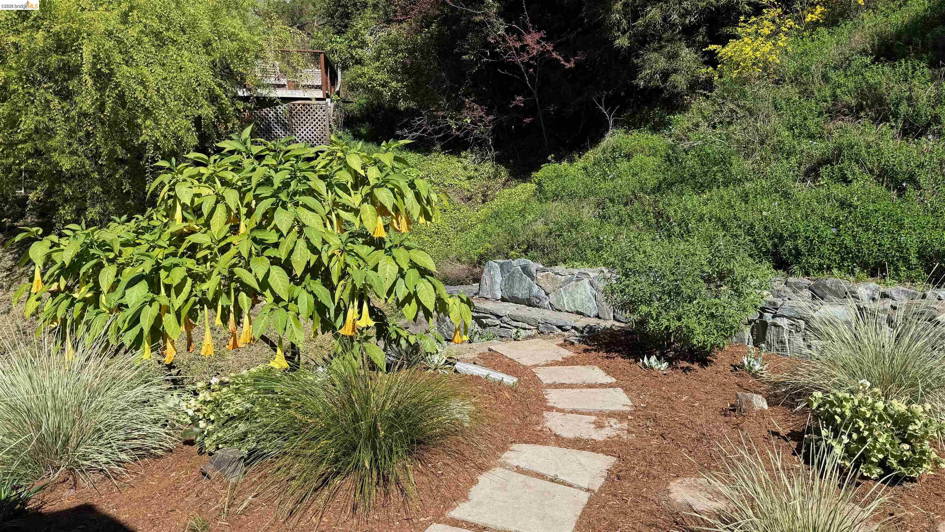 Detail Gallery Image 8 of 10 For 1179 Keith Ave, Berkeley,  CA 94708 - 6 Beds | 3 Baths