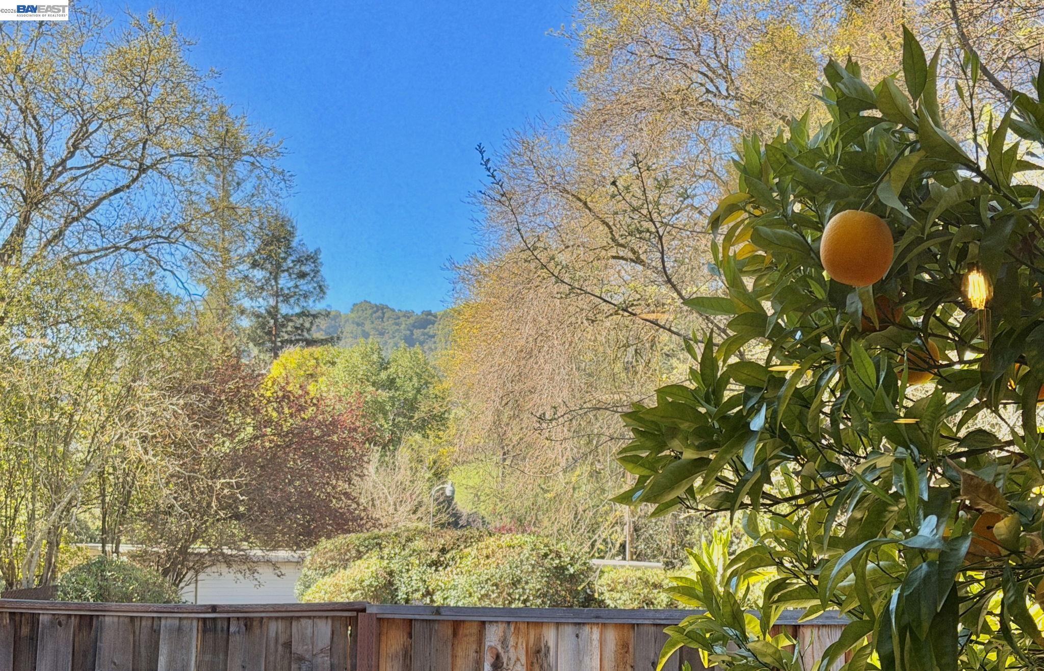 Detail Gallery Image 16 of 60 For 181 Paraiso Dr, Danville,  CA 94526 - 4 Beds | 2 Baths