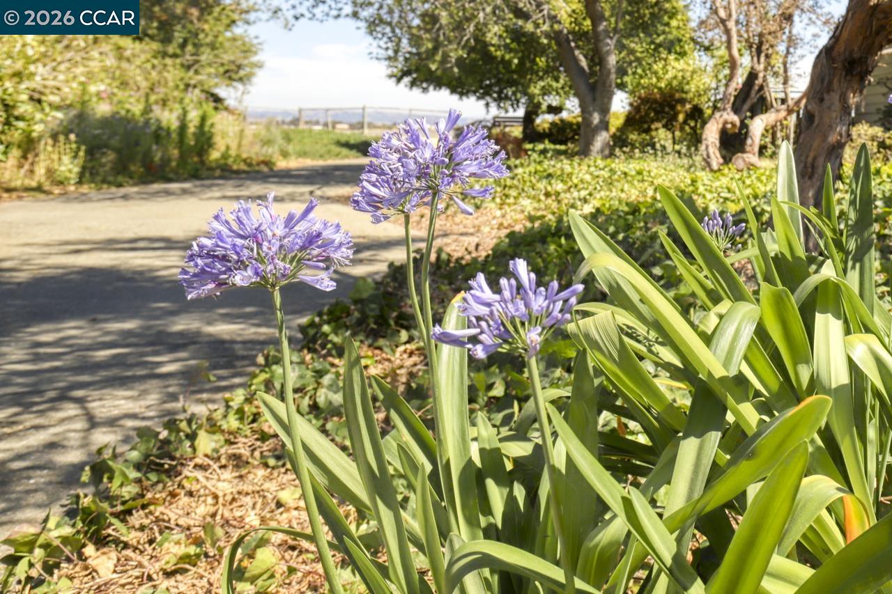 Detail Gallery Image 24 of 28 For 1351 Eastshore Drive, Alameda,  CA 94501 - 0 Beds | 1 Baths
