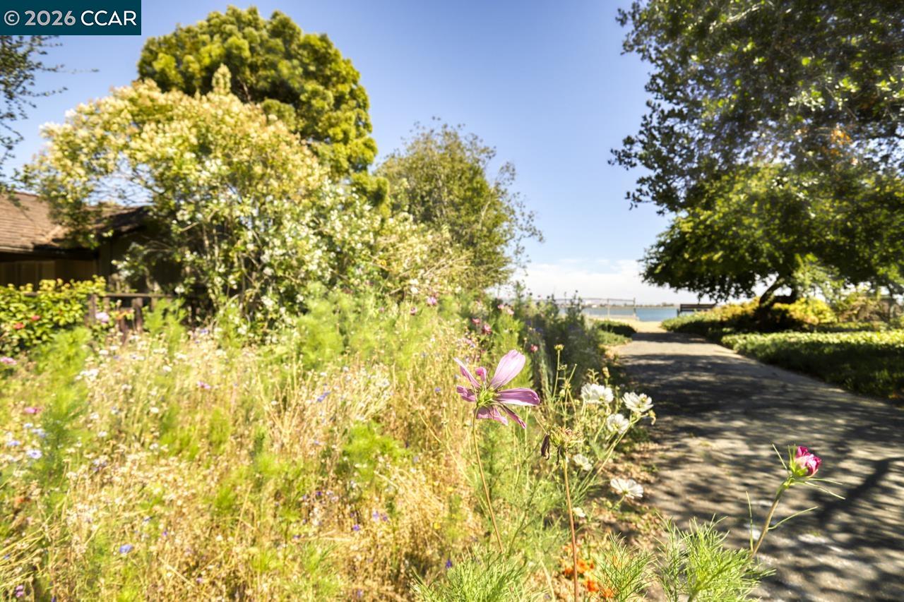 Detail Gallery Image 25 of 28 For 1351 Eastshore Drive, Alameda,  CA 94501 - 0 Beds | 1 Baths