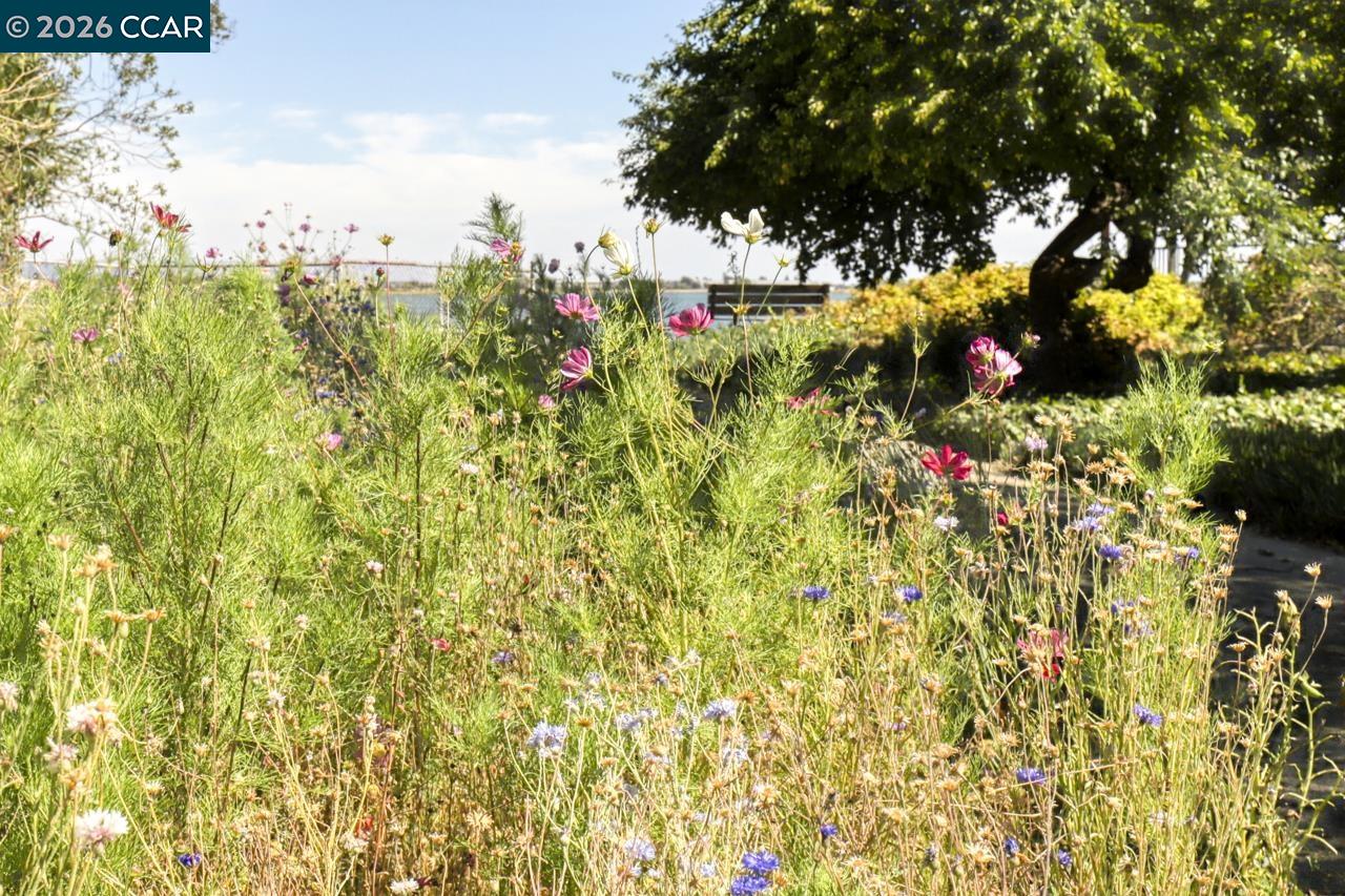 Detail Gallery Image 26 of 28 For 1351 Eastshore Drive, Alameda,  CA 94501 - 0 Beds | 1 Baths