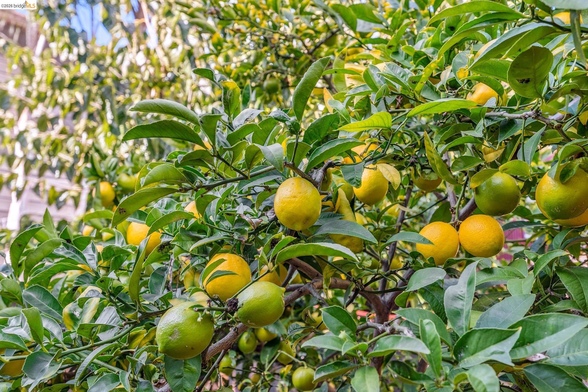 Detail Gallery Image 44 of 55 For 836 20th Street, Oakland,  CA 94607 - – Beds | – Baths