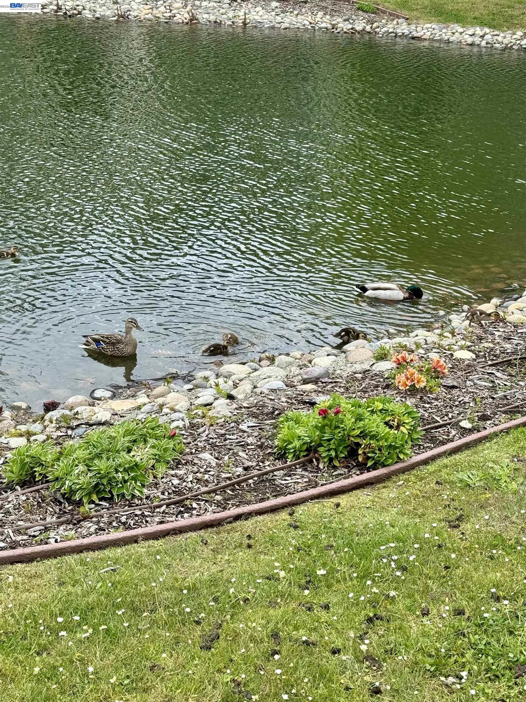 Detail Gallery Image 50 of 60 For 130 Lakeshore Ct, Richmond,  CA 94804 - 1 Beds | 1 Baths