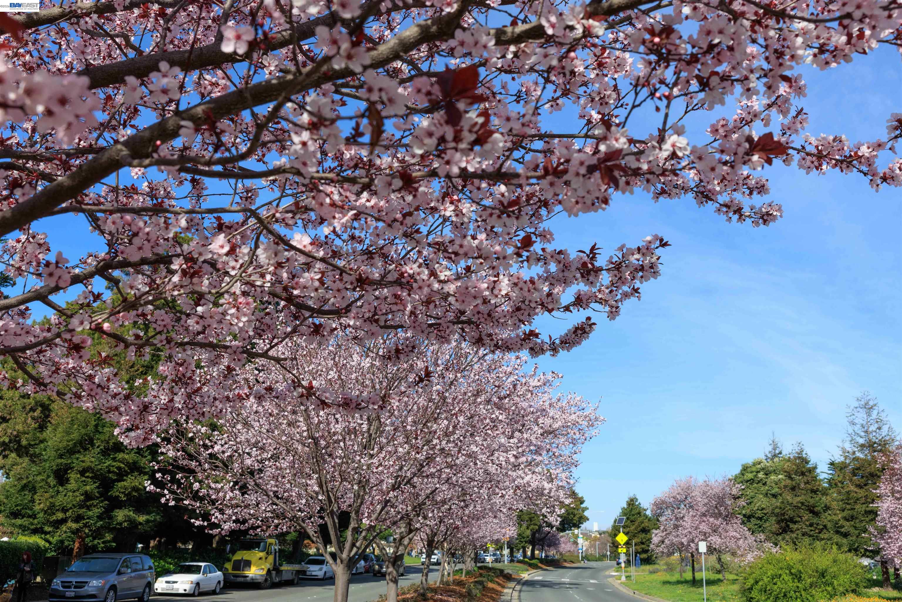 Detail Gallery Image 53 of 60 For 130 Lakeshore Ct, Richmond,  CA 94804 - 1 Beds | 1 Baths
