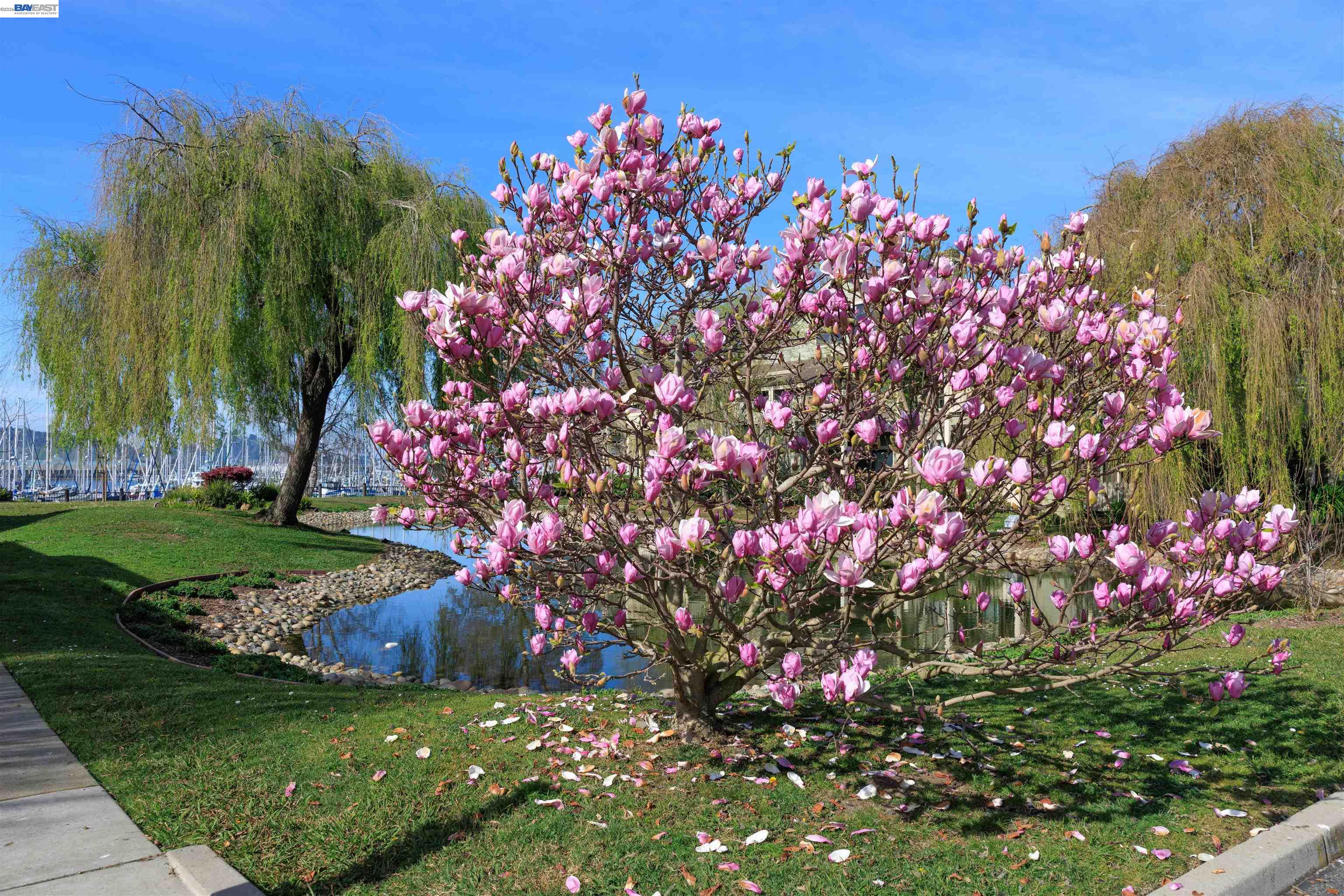 Detail Gallery Image 54 of 60 For 130 Lakeshore Ct, Richmond,  CA 94804 - 1 Beds | 1 Baths