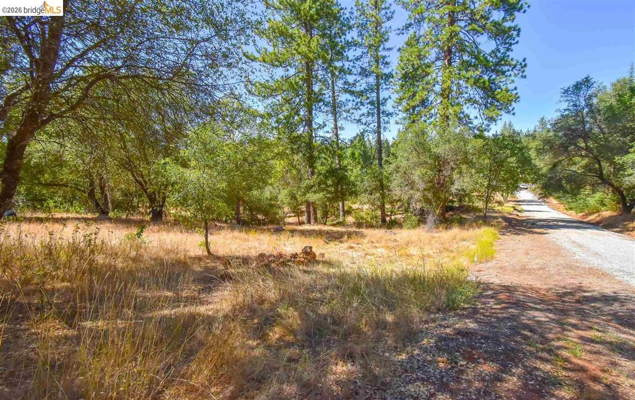 Detail Gallery Image 2 of 11 For Par B Union Hill Ln, Sonora,  CA 95370 - – Beds | – Baths