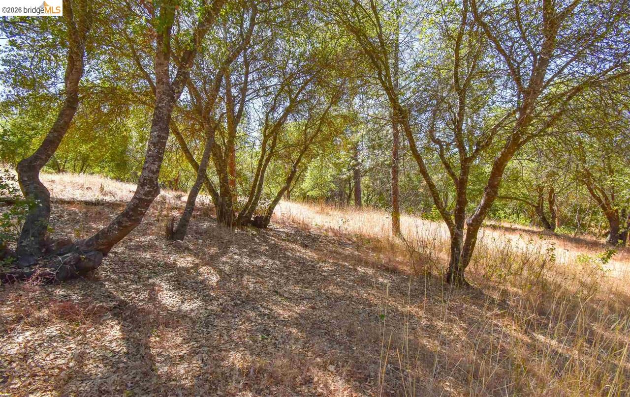 Detail Gallery Image 5 of 11 For Par B Union Hill Ln, Sonora,  CA 95370 - – Beds | – Baths