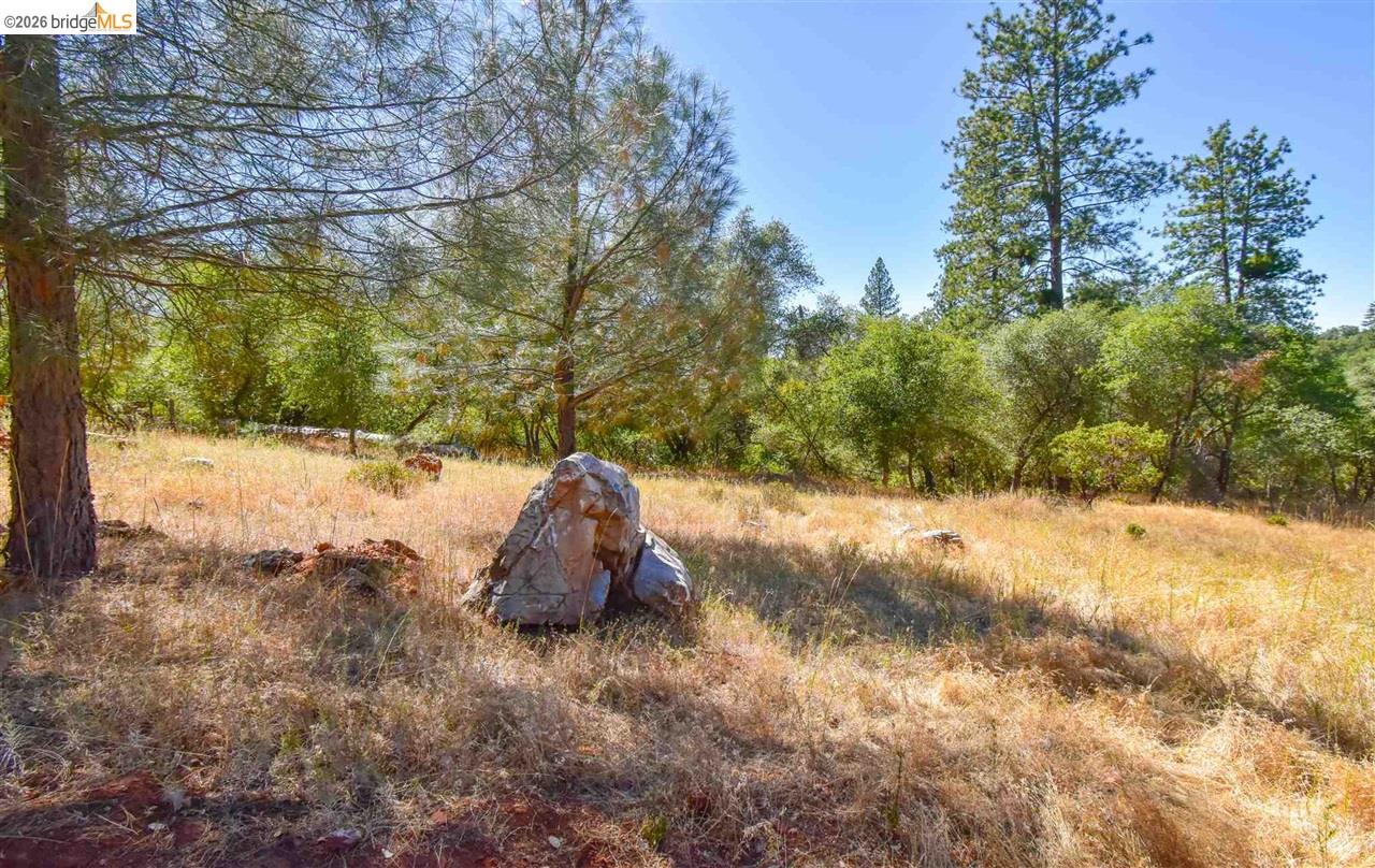 Detail Gallery Image 7 of 11 For Par B Union Hill Ln, Sonora,  CA 95370 - – Beds | – Baths