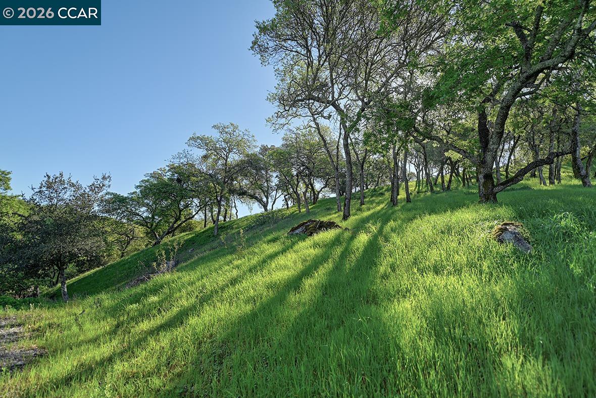 6415 Horsemans Canyon Dr, Walnut Creek, CA, 94595