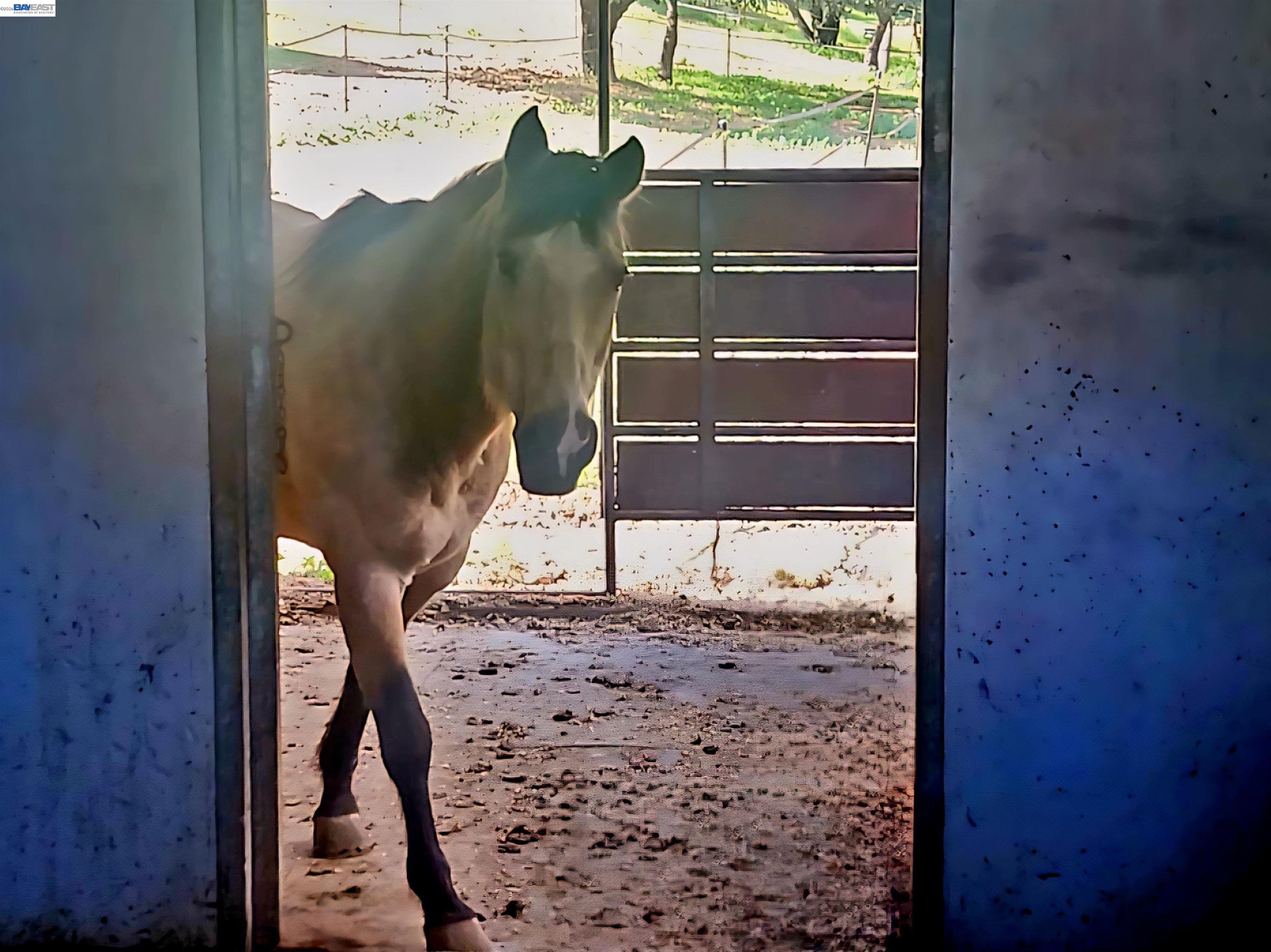 Detail Gallery Image 53 of 59 For 10700 Foothill Rd, Sunol,  CA 94586 - 3 Beds | 3 Baths