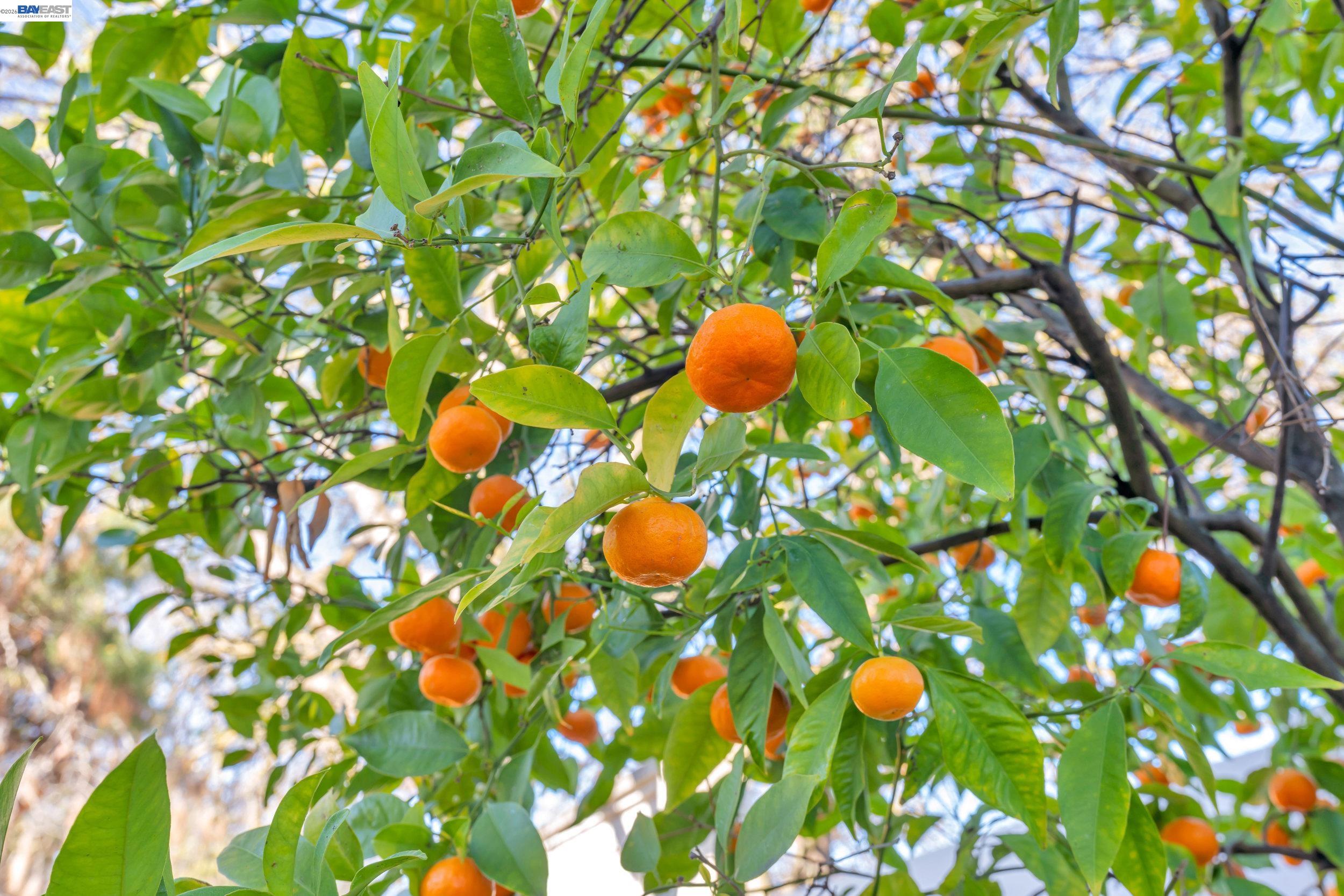 Detail Gallery Image 26 of 35 For 282 Del Valle Ct, Pleasanton,  CA 94566 - 4 Beds | 3 Baths