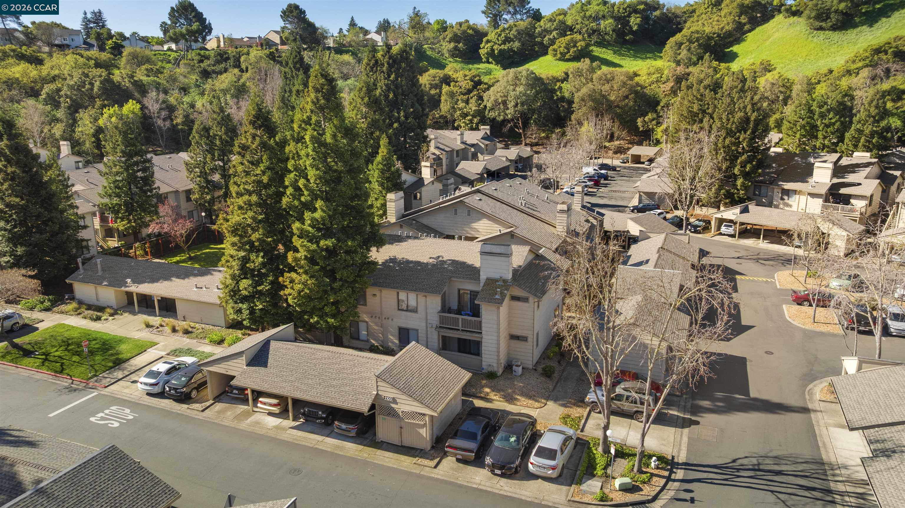 Photo #38: 41126889 Listing: Photo #38