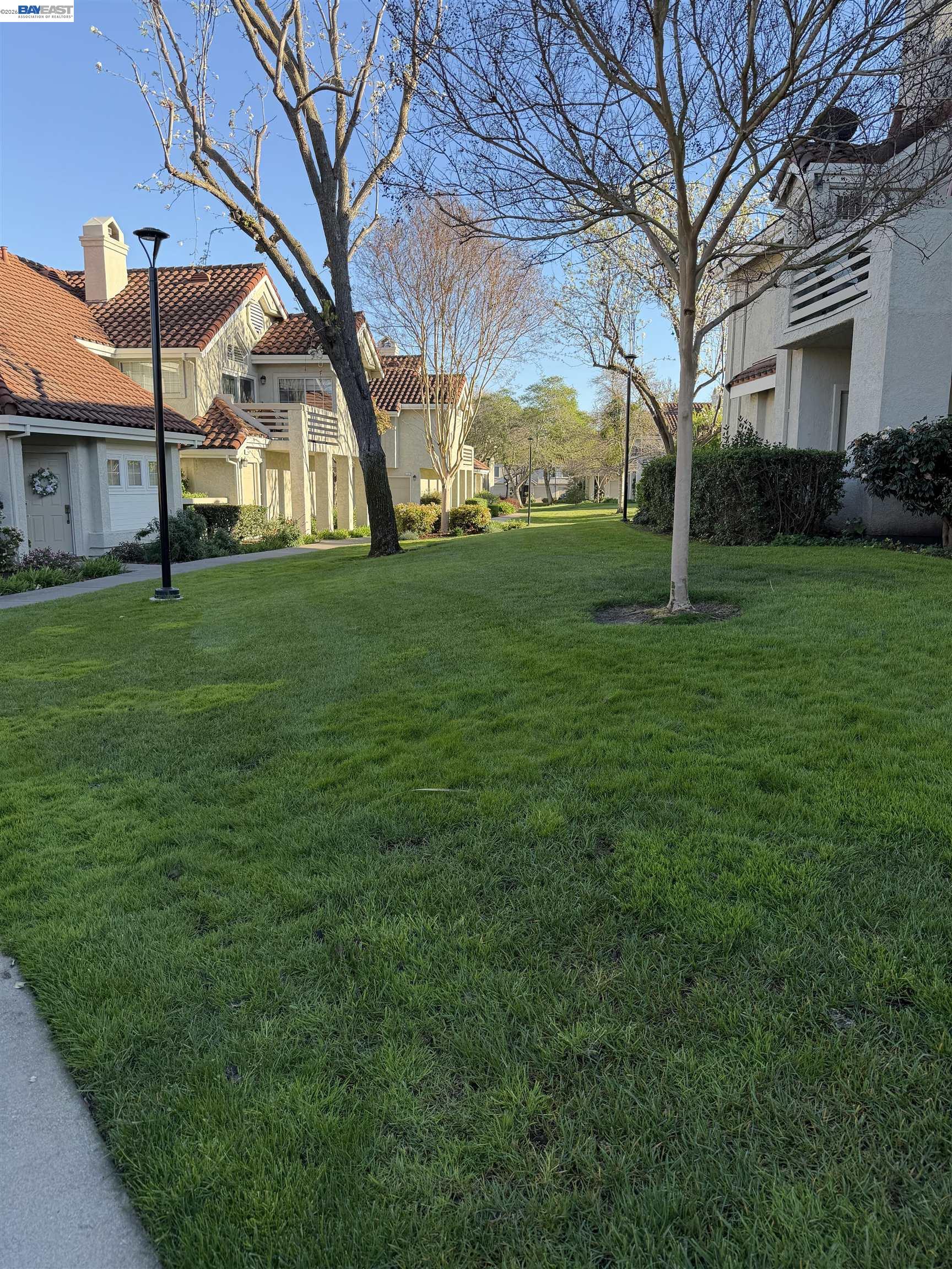 Photo #26: 41126916 Listing: Photo #26