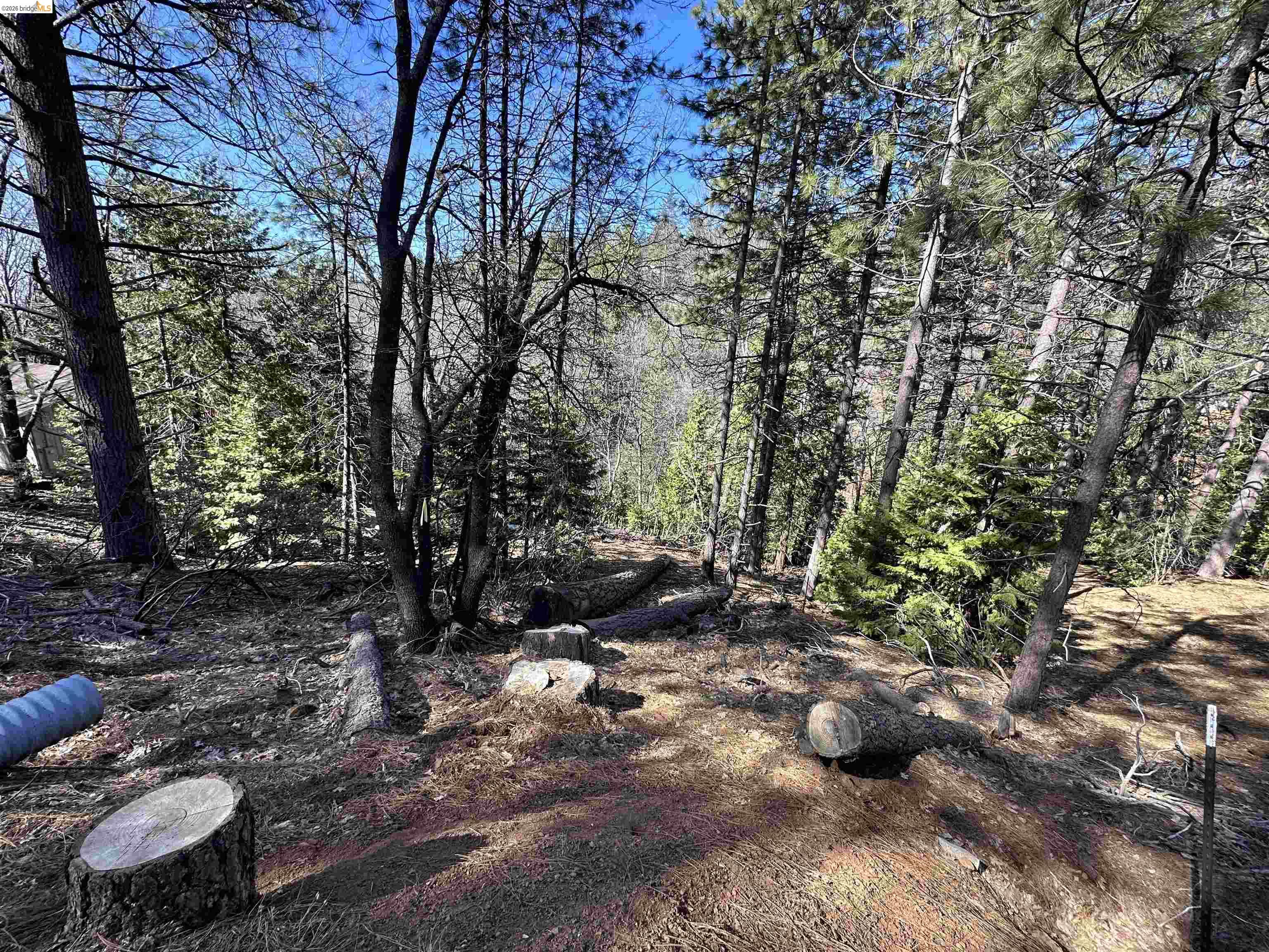 23956 Stable Rd, Sonora, CA, 95370