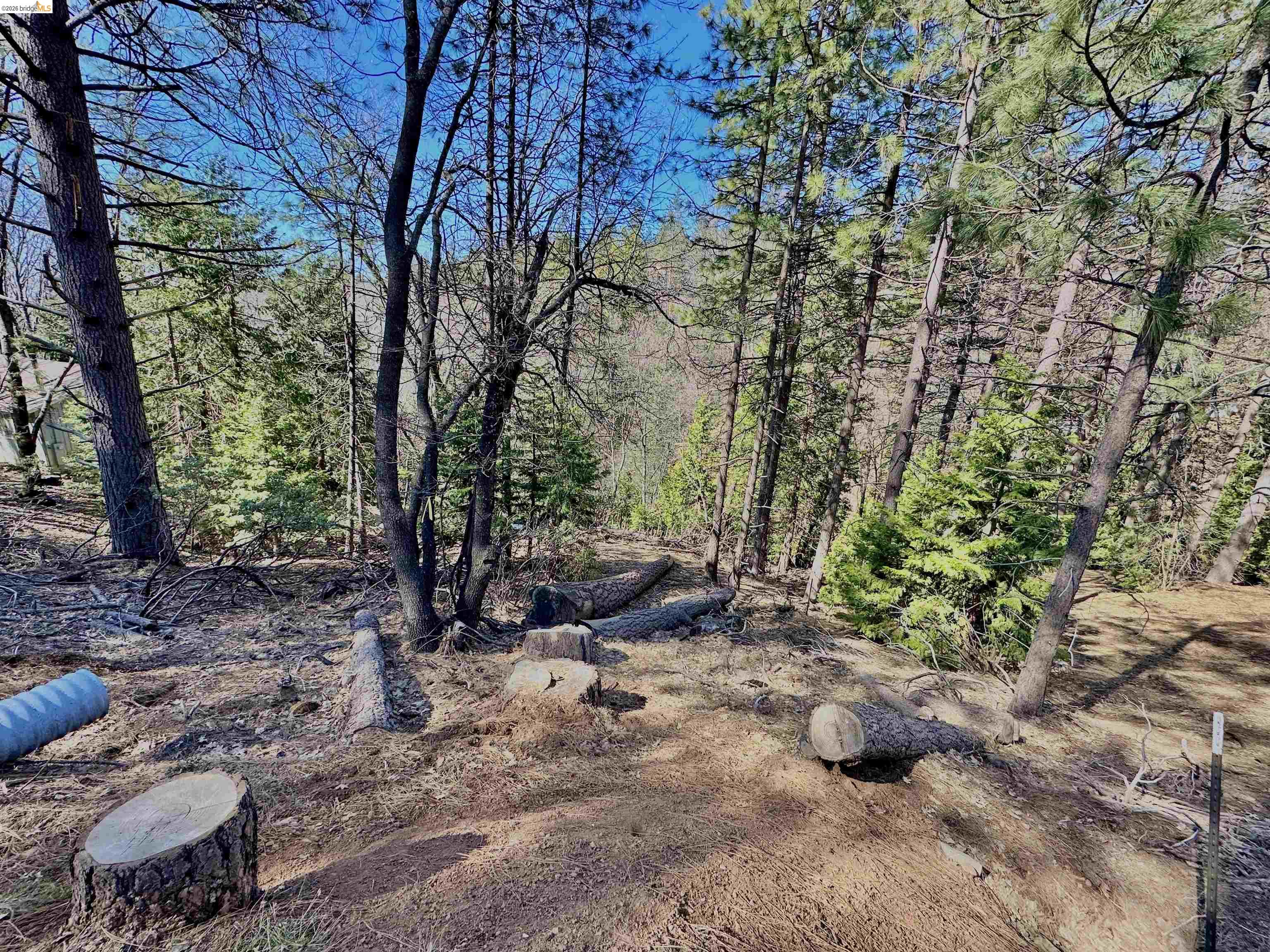 23956 Stable Rd, Sonora, CA, 95370