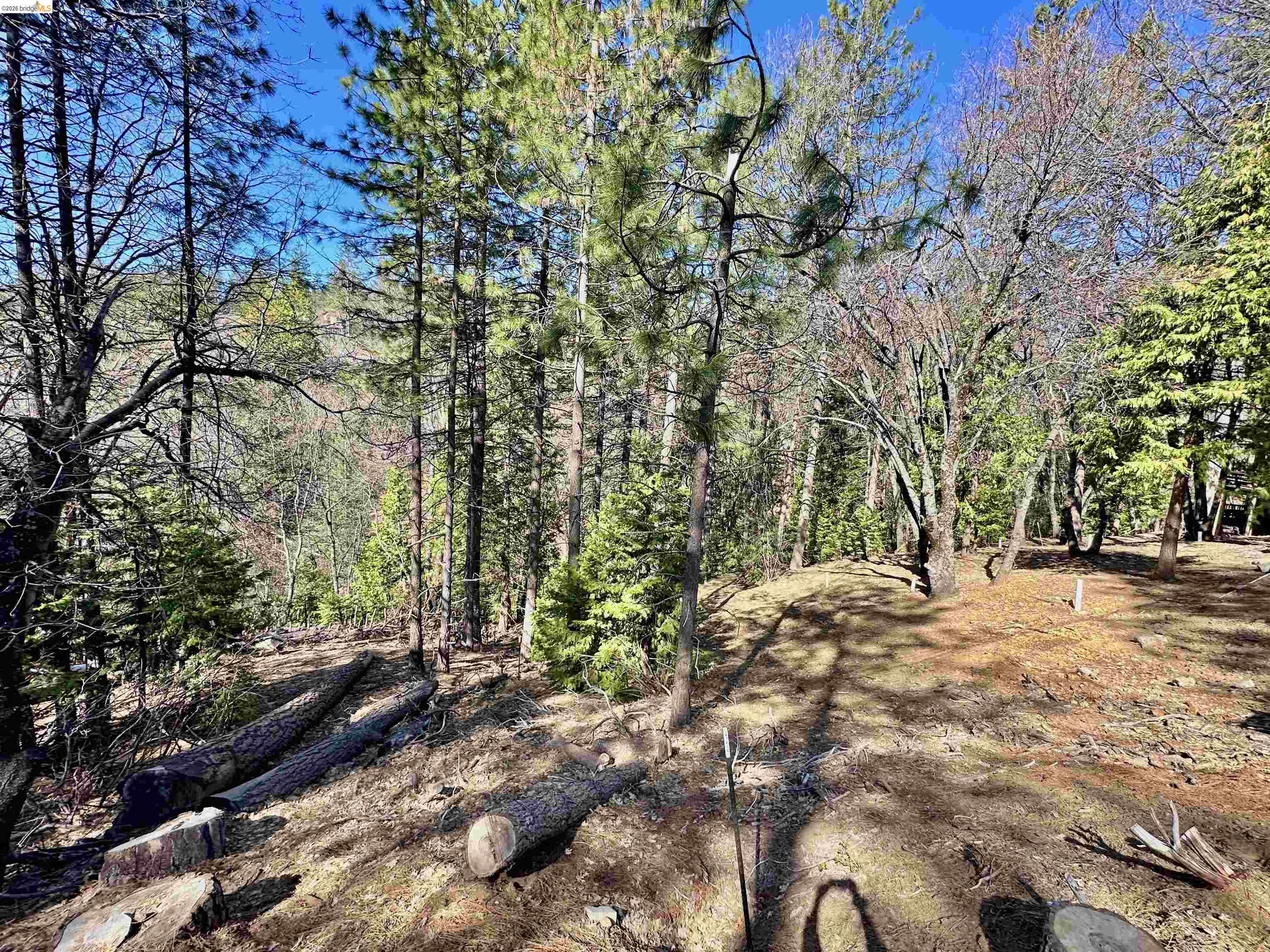 23956 Stable Rd, Sonora, CA, 95370