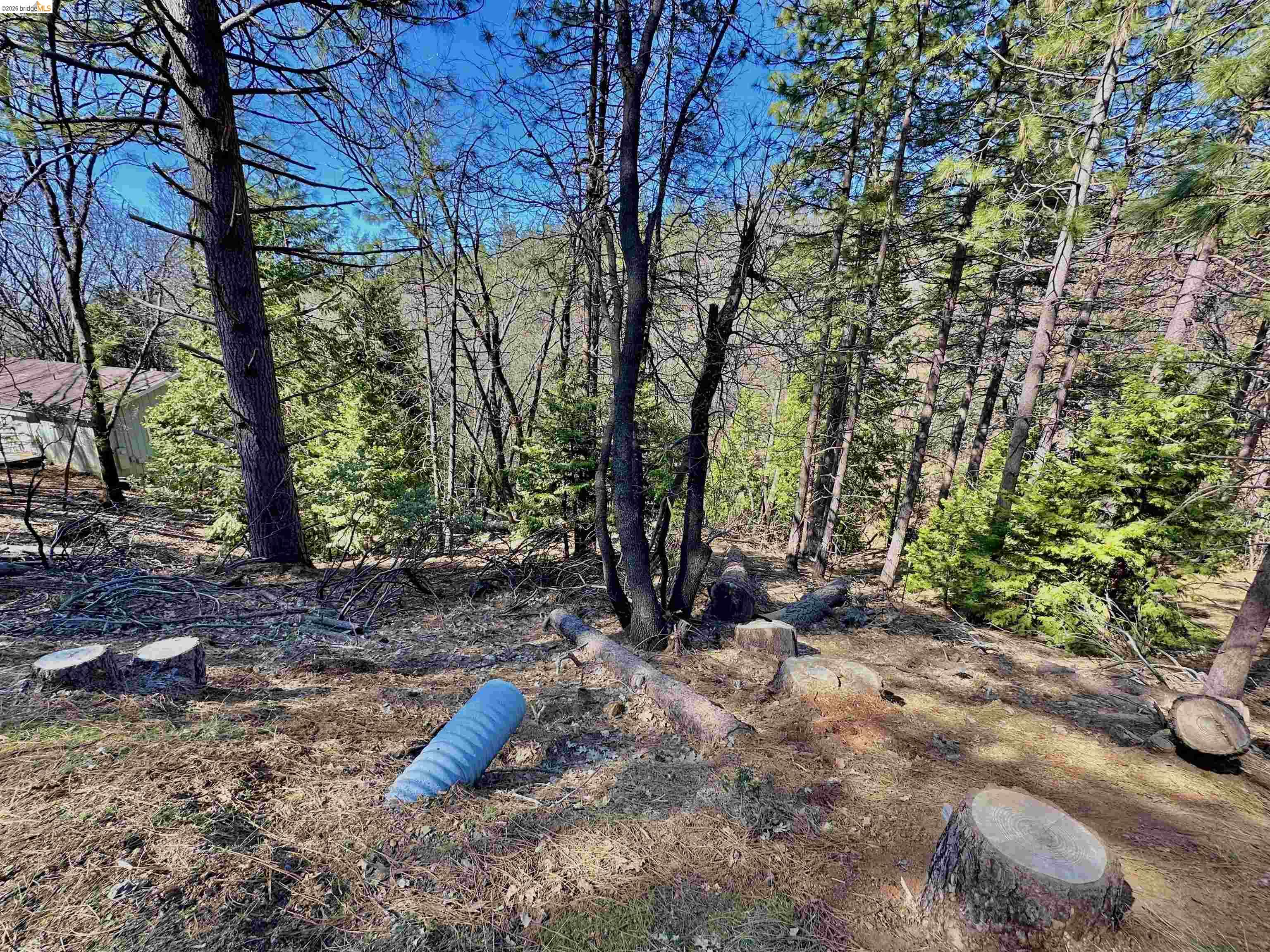 23956 Stable Rd, Sonora, CA, 95370