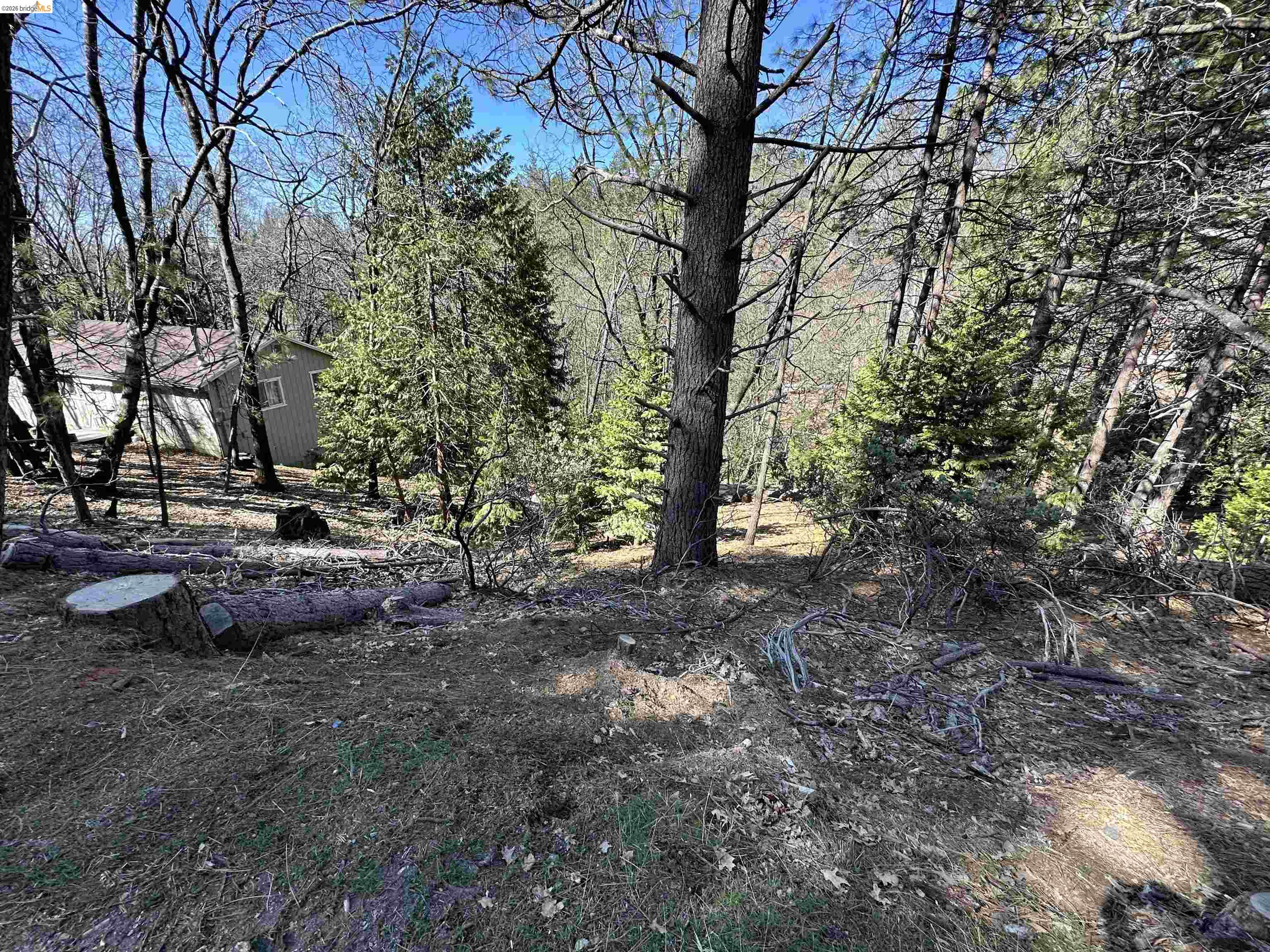 Detail Gallery Image 6 of 13 For 23956 Stable Rd, Sonora,  CA 95370 - – Beds | – Baths