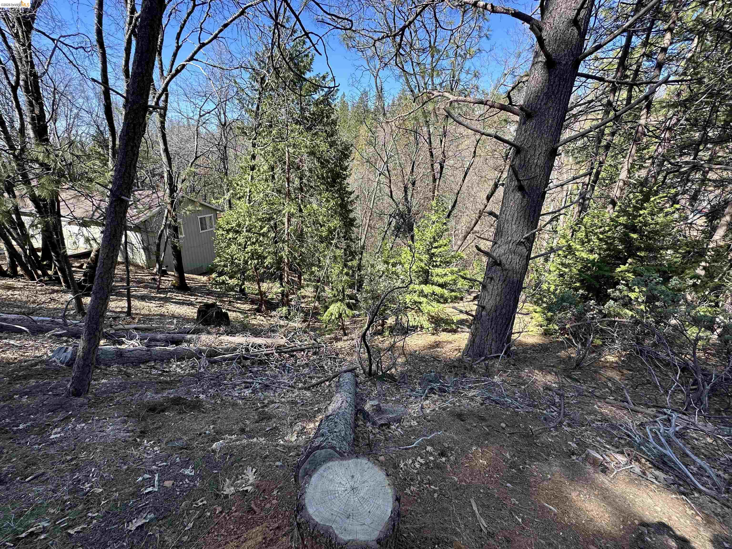 23956 Stable Rd, Sonora, CA, 95370