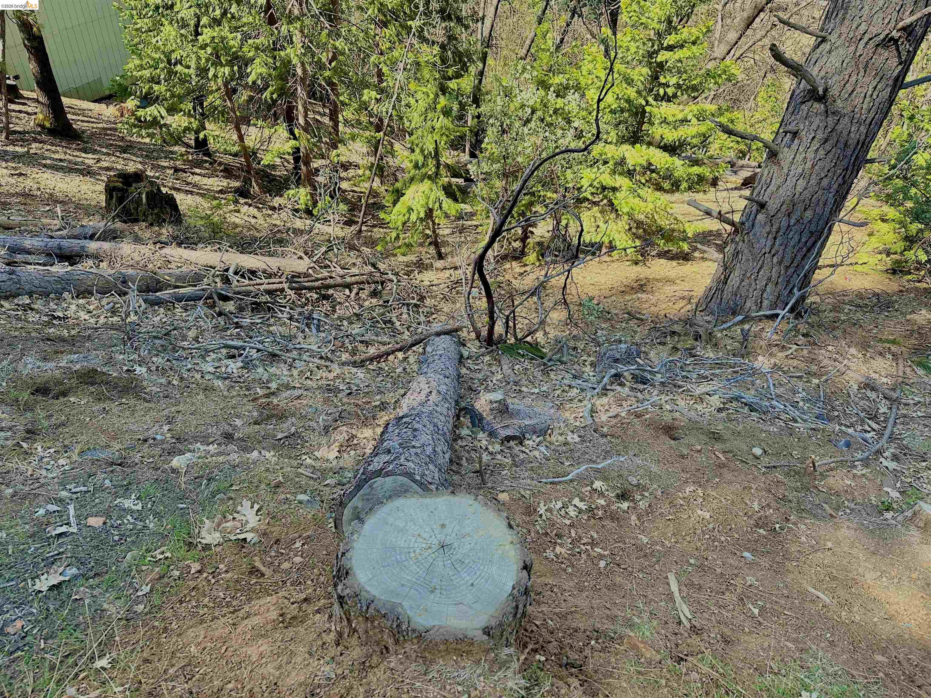 23956 Stable Rd, Sonora, CA, 95370