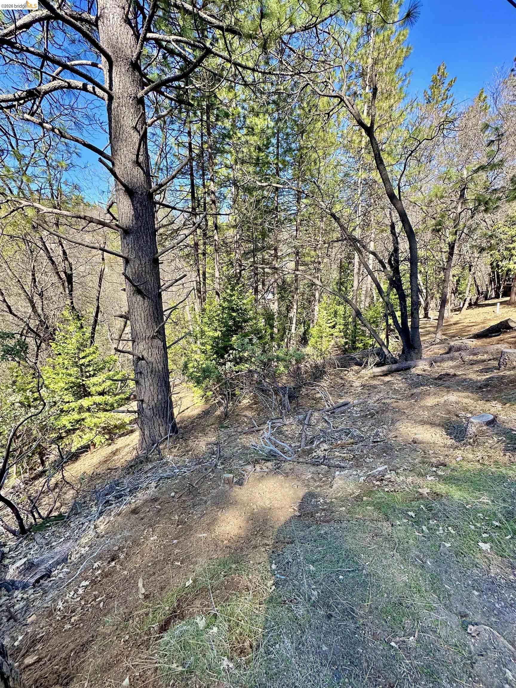 Detail Gallery Image 9 of 13 For 23956 Stable Rd, Sonora,  CA 95370 - – Beds | – Baths