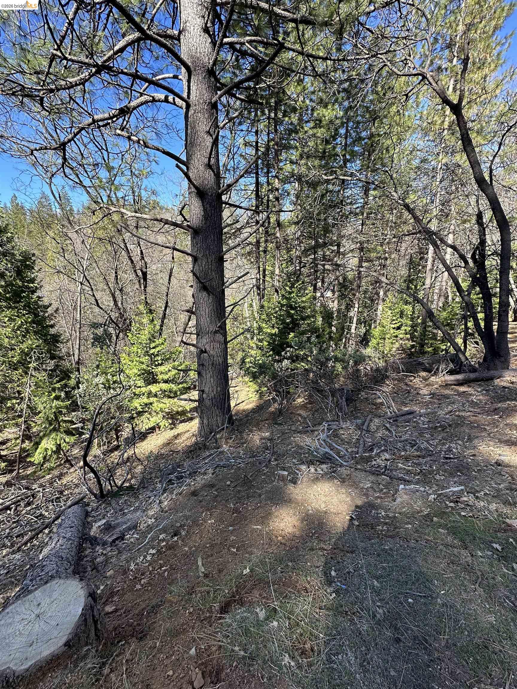 23956 Stable Rd, Sonora, CA, 95370