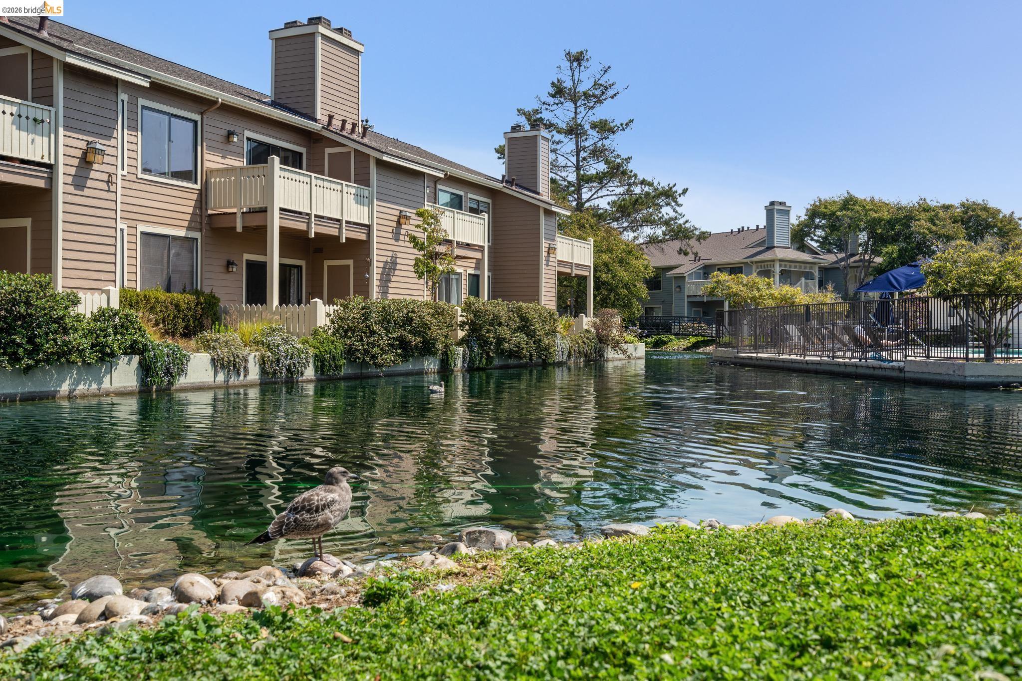 Detail Gallery Image 31 of 60 For 142 Shoreline Ct, Richmond,  CA 94804 - 2 Beds | 2 Baths