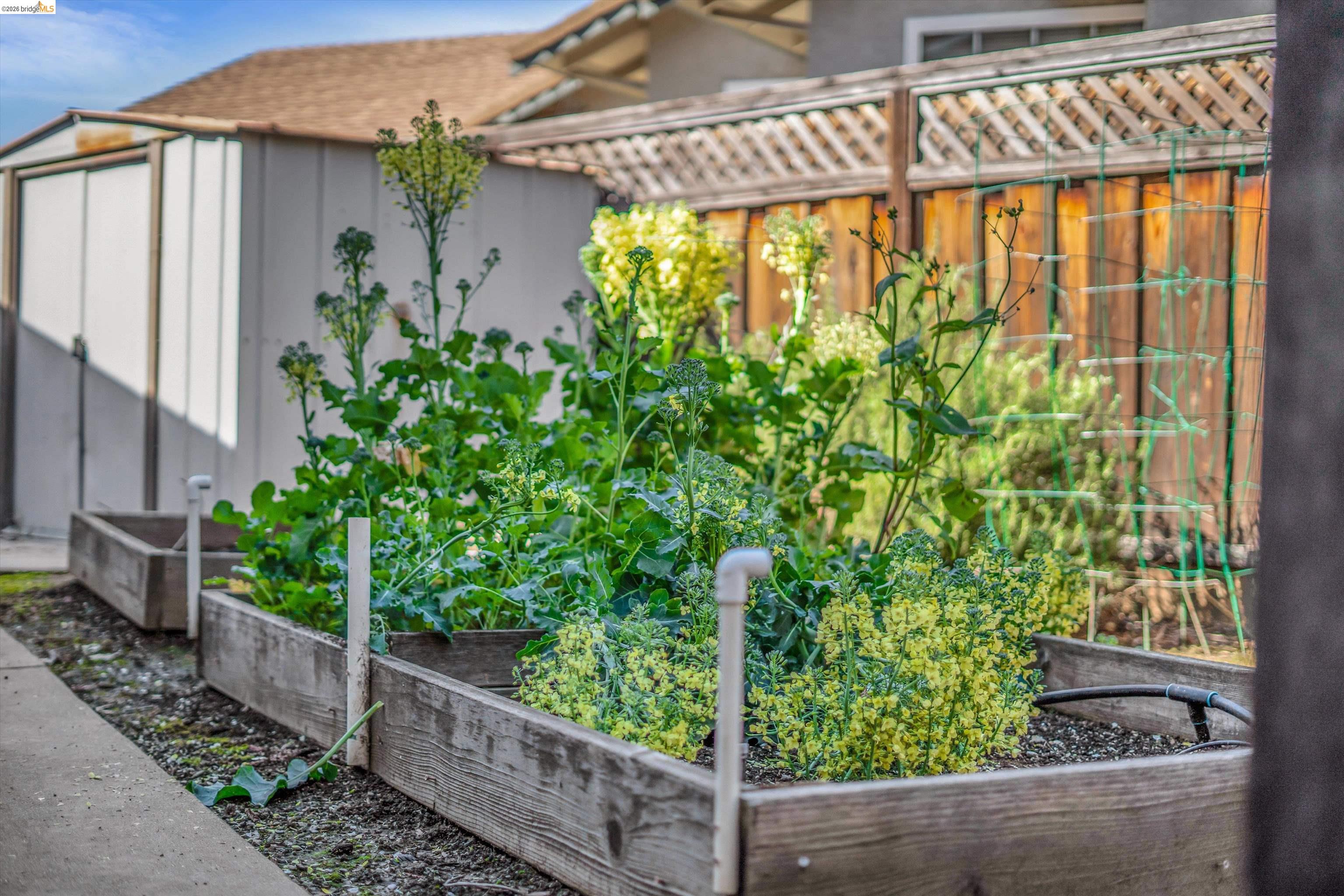 Detail Gallery Image 38 of 40 For 17 Kensington Ct, Brentwood,  CA 94513 - 3 Beds | 2 Baths