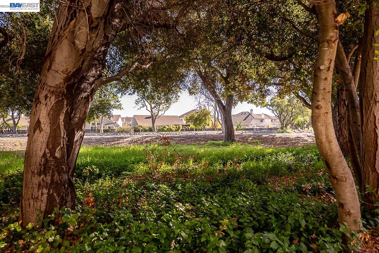 Detail Gallery Image 55 of 56 For 33479 Alvarado Niles Rd, Union City,  CA 94587 - 3 Beds | 3/1 Baths