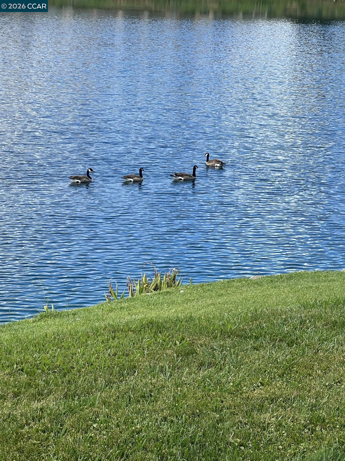 Detail Gallery Image 43 of 47 For 4059 W Lakeshore Dr, San Ramon,  CA 94582 - 3 Beds | 3 Baths