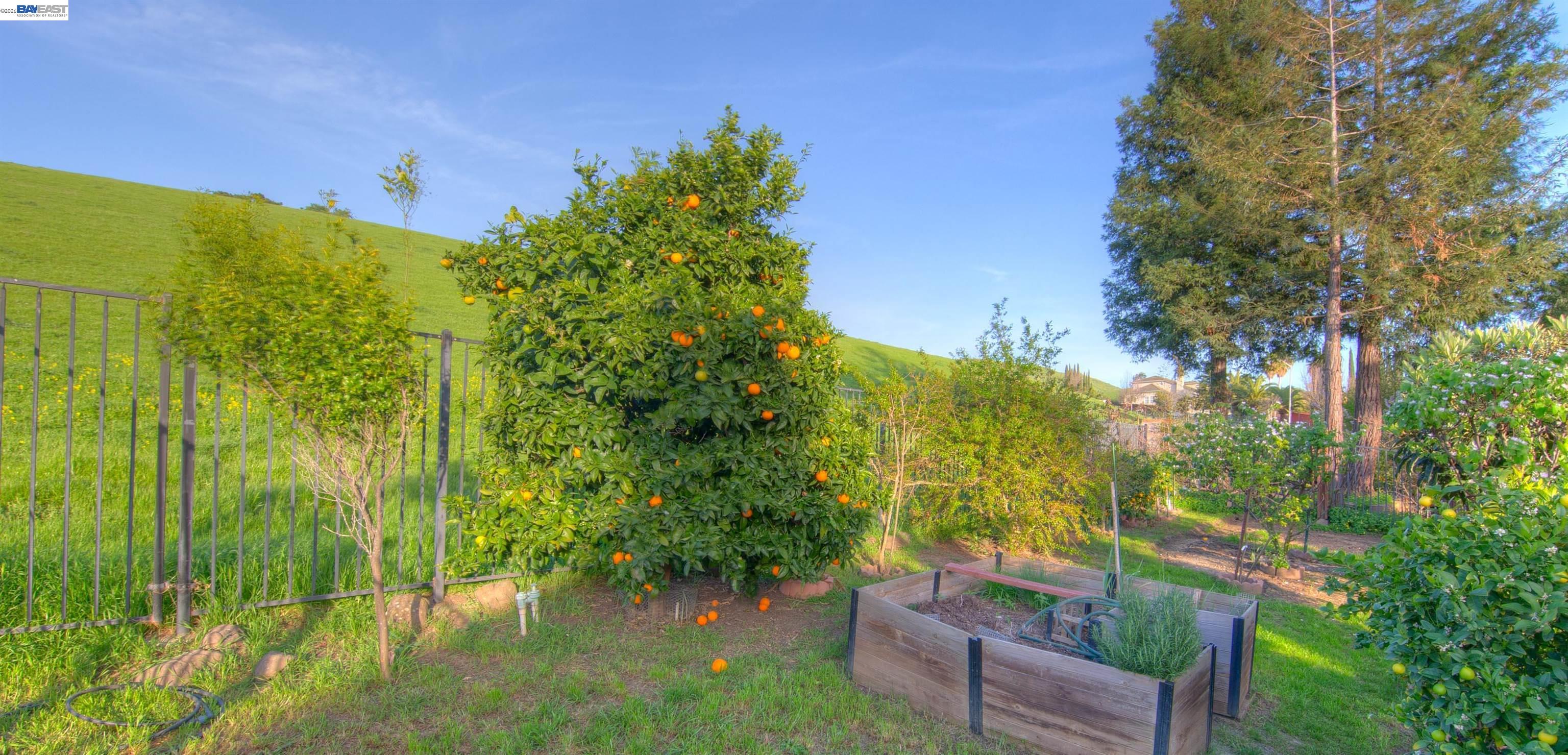 Detail Gallery Image 42 of 52 For 35172 King Ct., Fremont,  CA 94536 - 5 Beds | 3 Baths