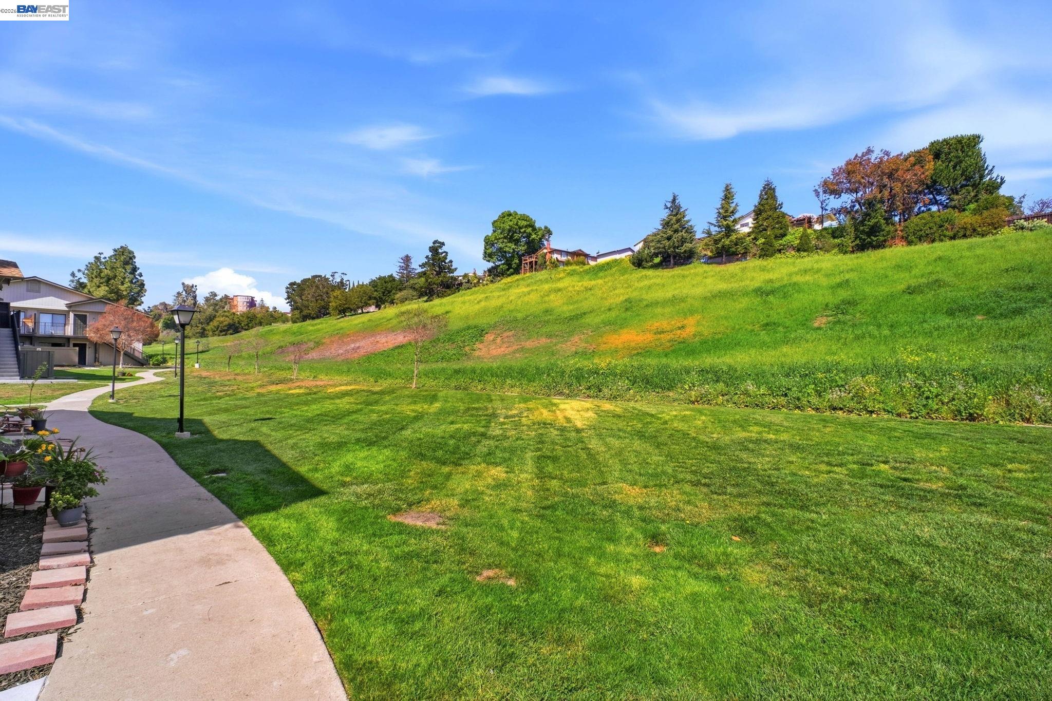 Photo #31: 41127033 Listing: Photo #31