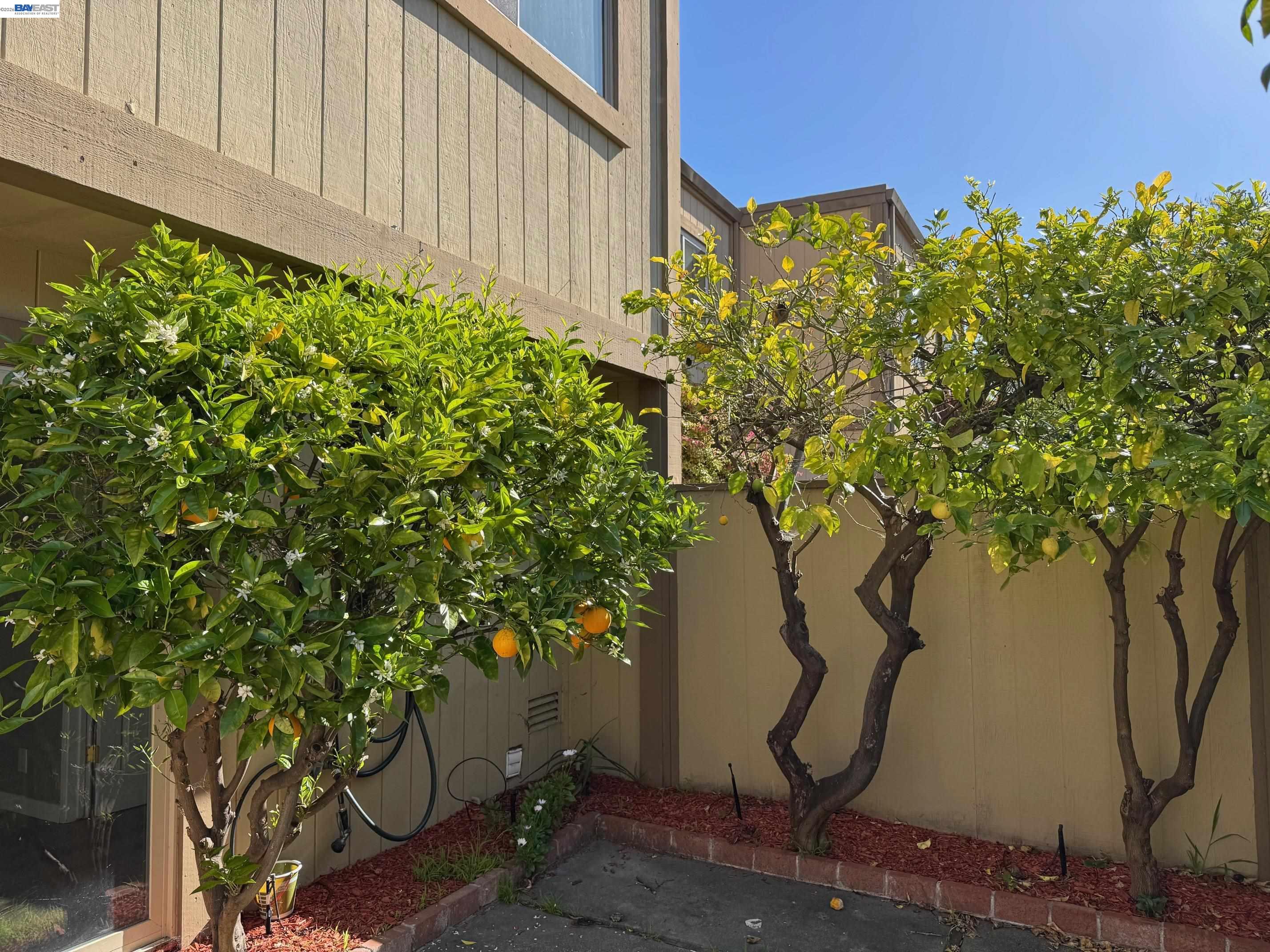 Photo #17: 41127050 Listing: Photo #17