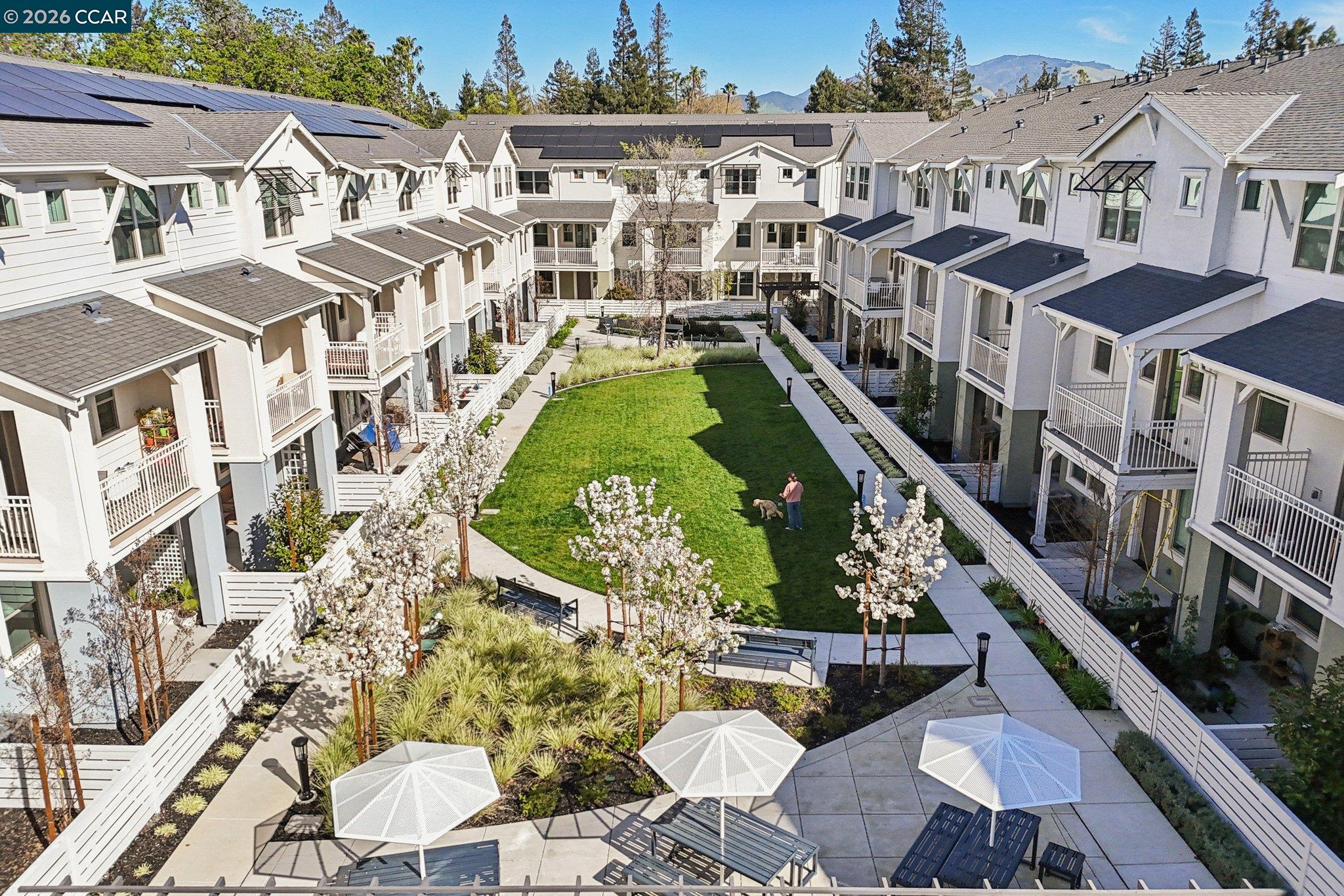 Photo #36: 41127051 Listing: Photo #36