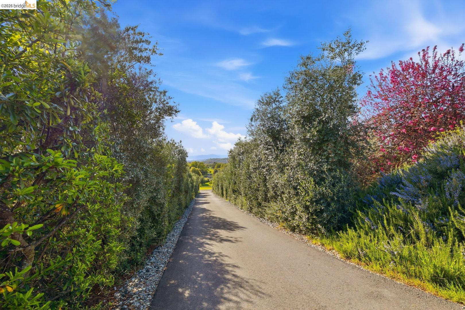 Detail Gallery Image 28 of 41 For 9360 Highway 49, Sonora,  CA 95370 - 3 Beds | 2/1 Baths