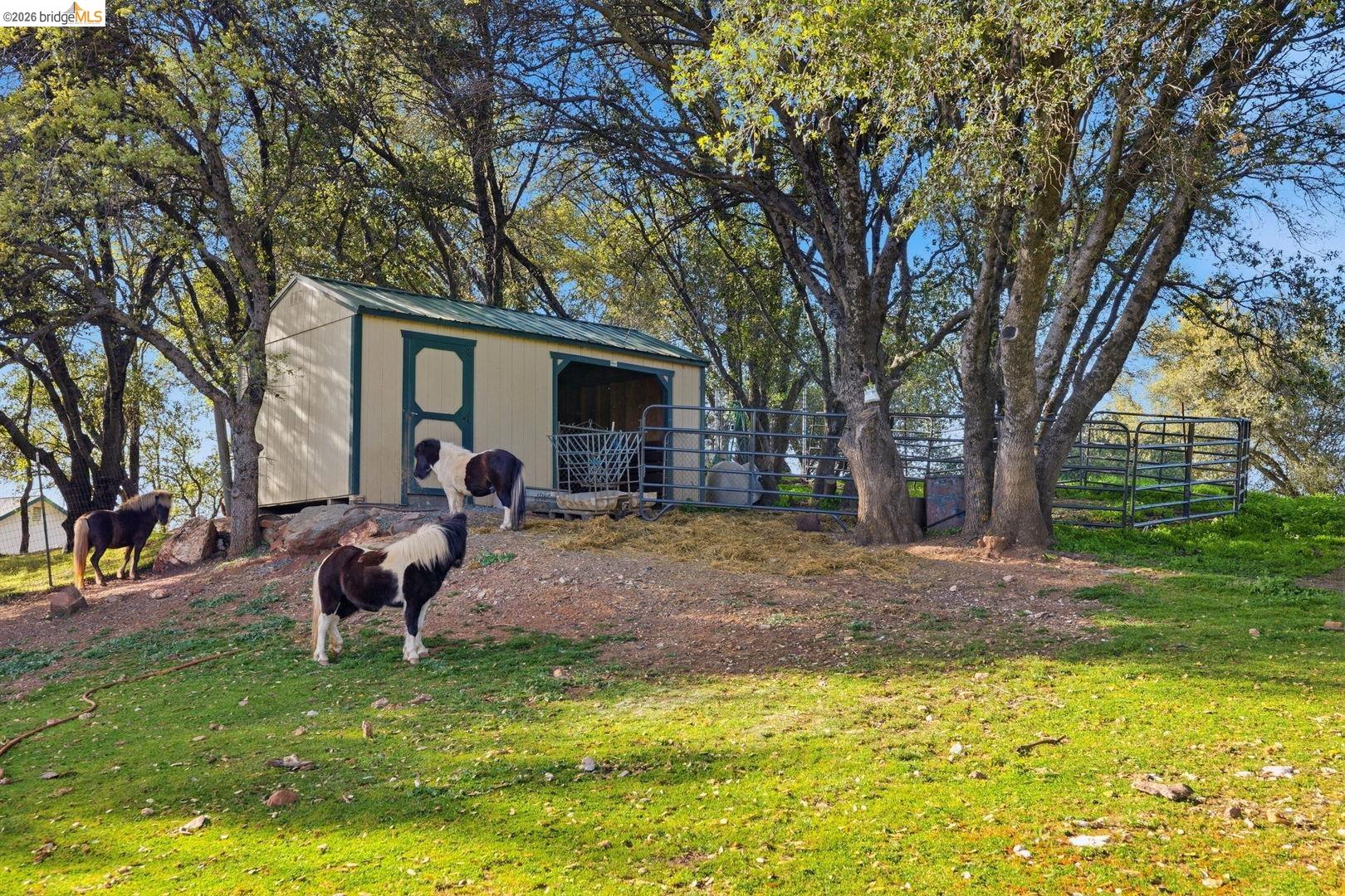 Detail Gallery Image 32 of 41 For 9360 Highway 49, Sonora,  CA 95370 - 3 Beds | 2/1 Baths