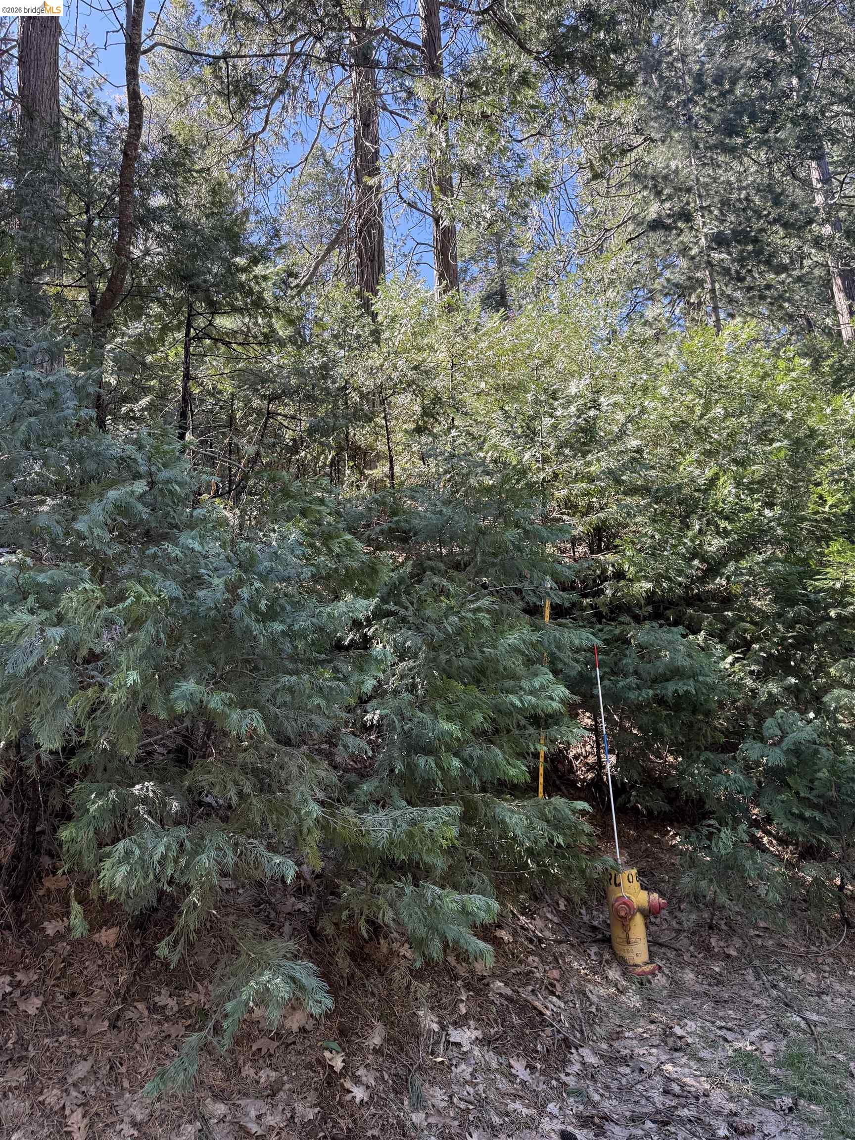 000 Lot 498 Oxbow Lane N, Sonora CA 95370 — photo 13