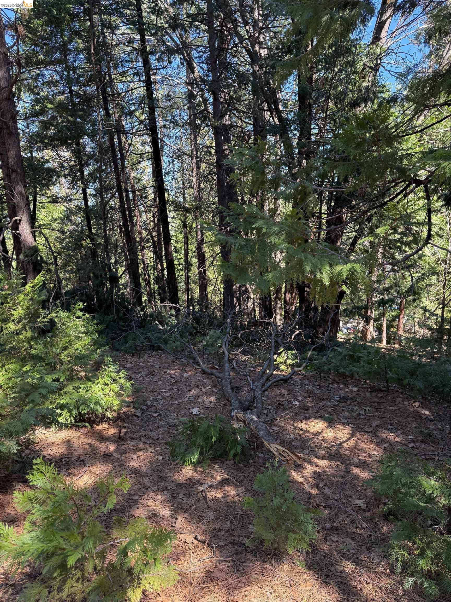 000 Lot 498 Oxbow Lane N, Sonora CA 95370 — photo 3