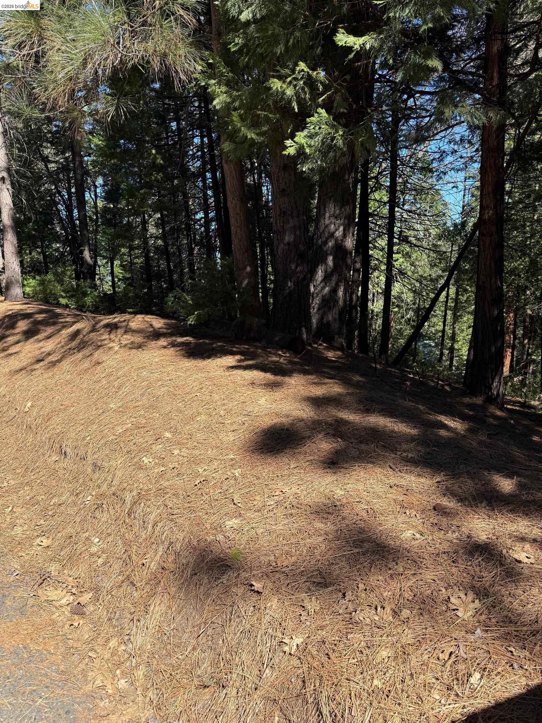 000 Lot 498 Oxbow Lane N, Sonora CA 95370 — photo 5