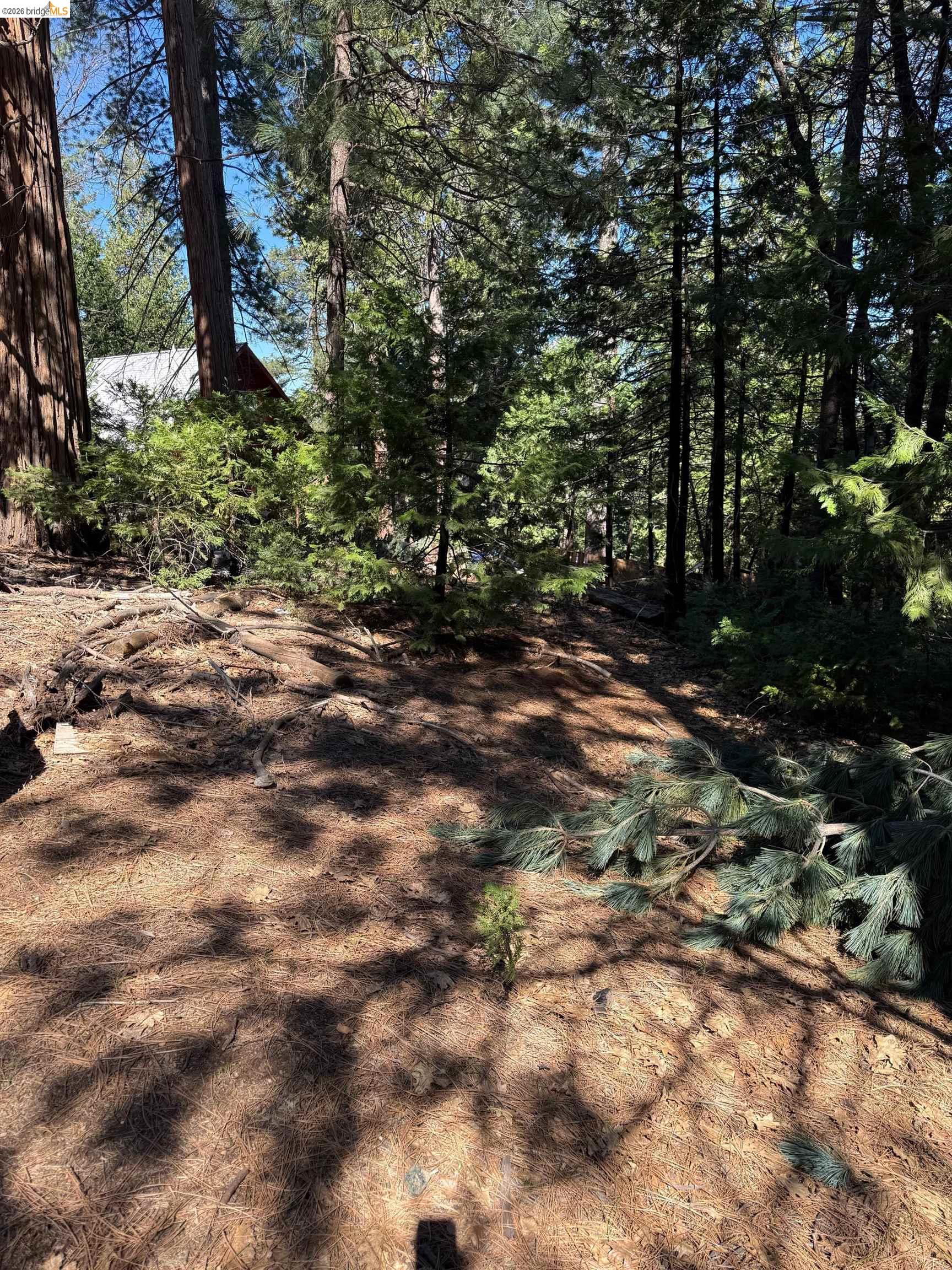 000 Lot 498 Oxbow Lane N, Sonora CA 95370 — photo 9