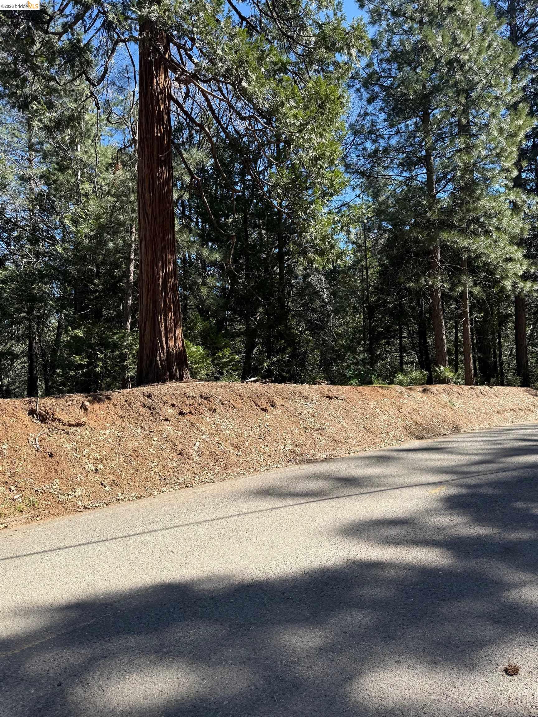 Detail Gallery Image 10 of 14 For 000 Lot 498 Oxbow Lane N, Sonora,  CA 95370 - – Beds | – Baths